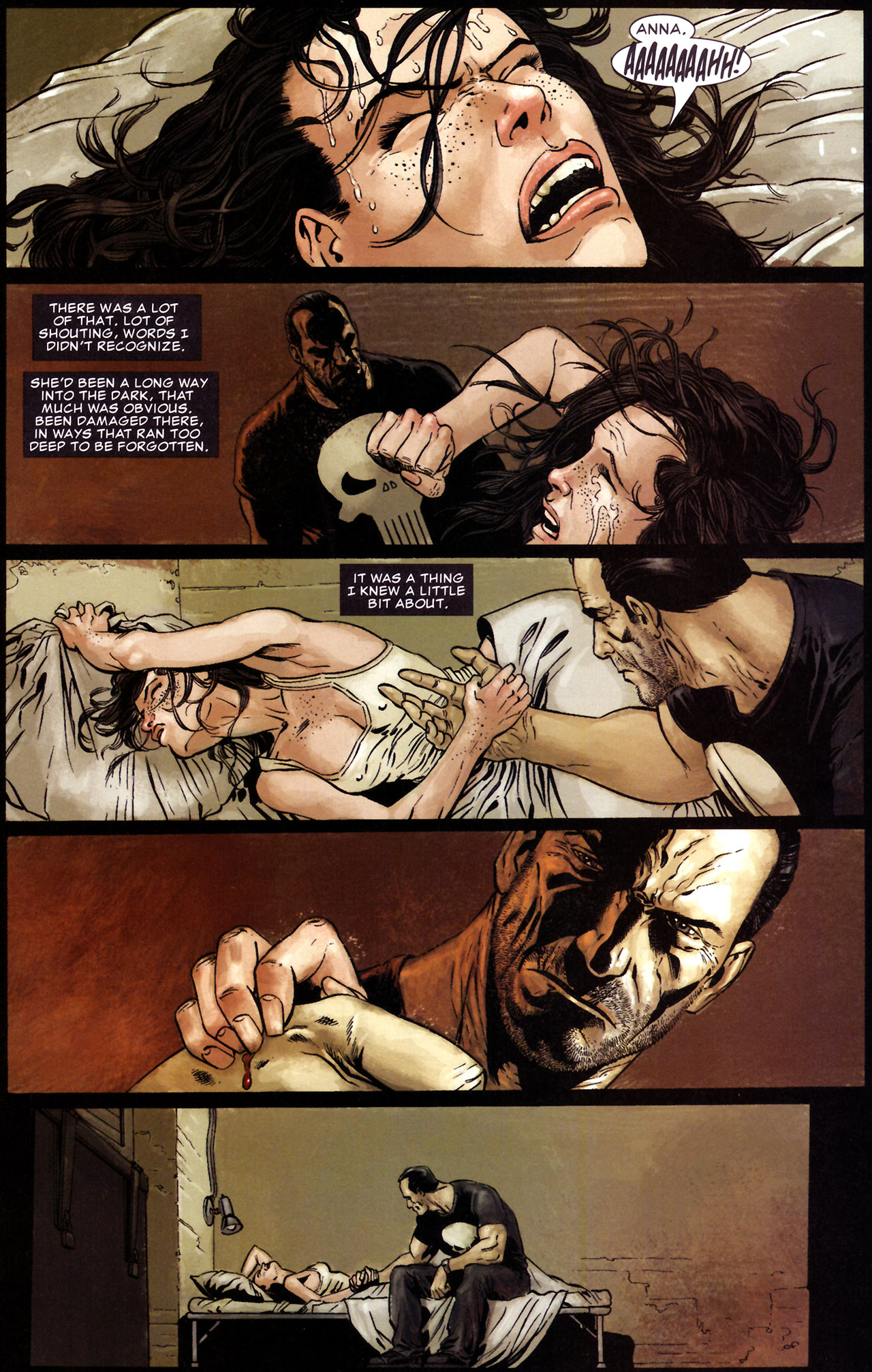 The Punisher (2004) Issue #25 #25 - English 18