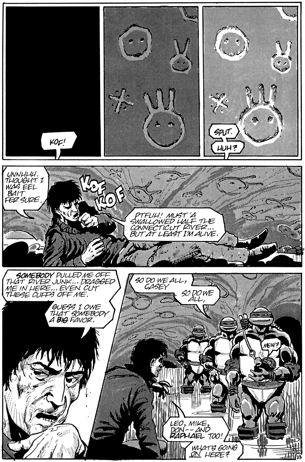 Read online Teenage Mutant Ninja Turtles (1984) comic -  Issue #25 - 25