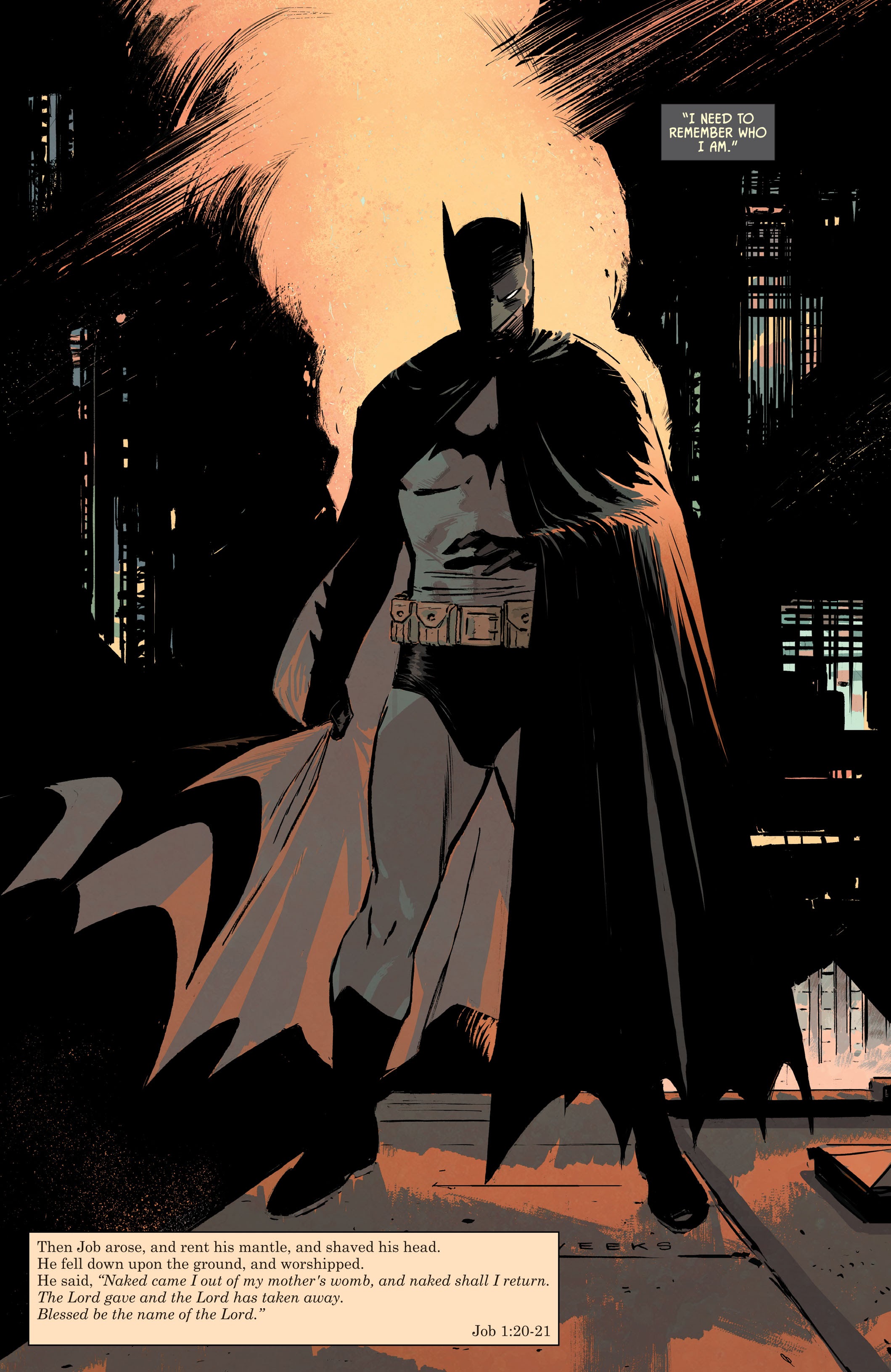 Read online Batman by Tom King & Lee Weeks: The Deluxe Edition comic -  Issue # TPB (Part 2) - 14