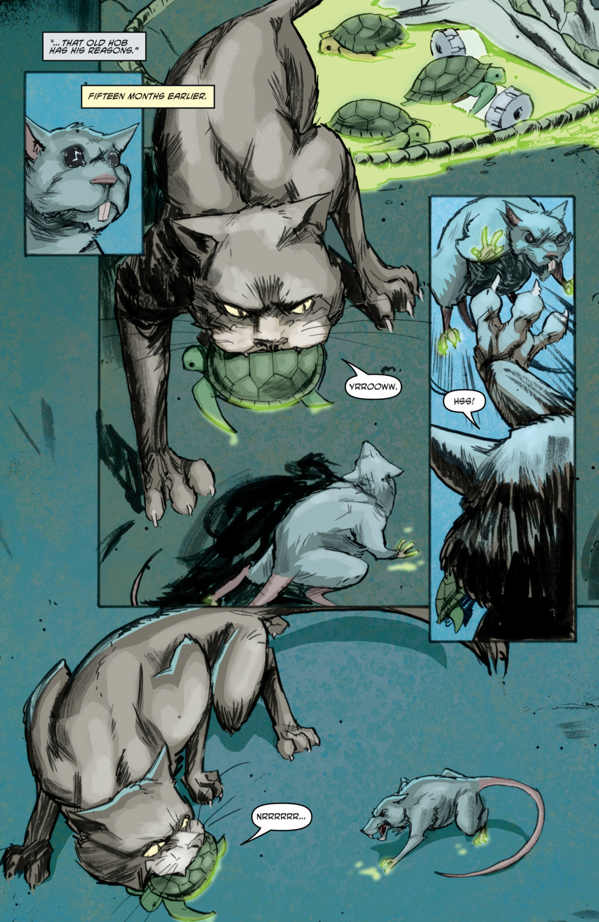 Read online Teenage Mutant Ninja Turtles (2011) comic -  Issue #3 - 16