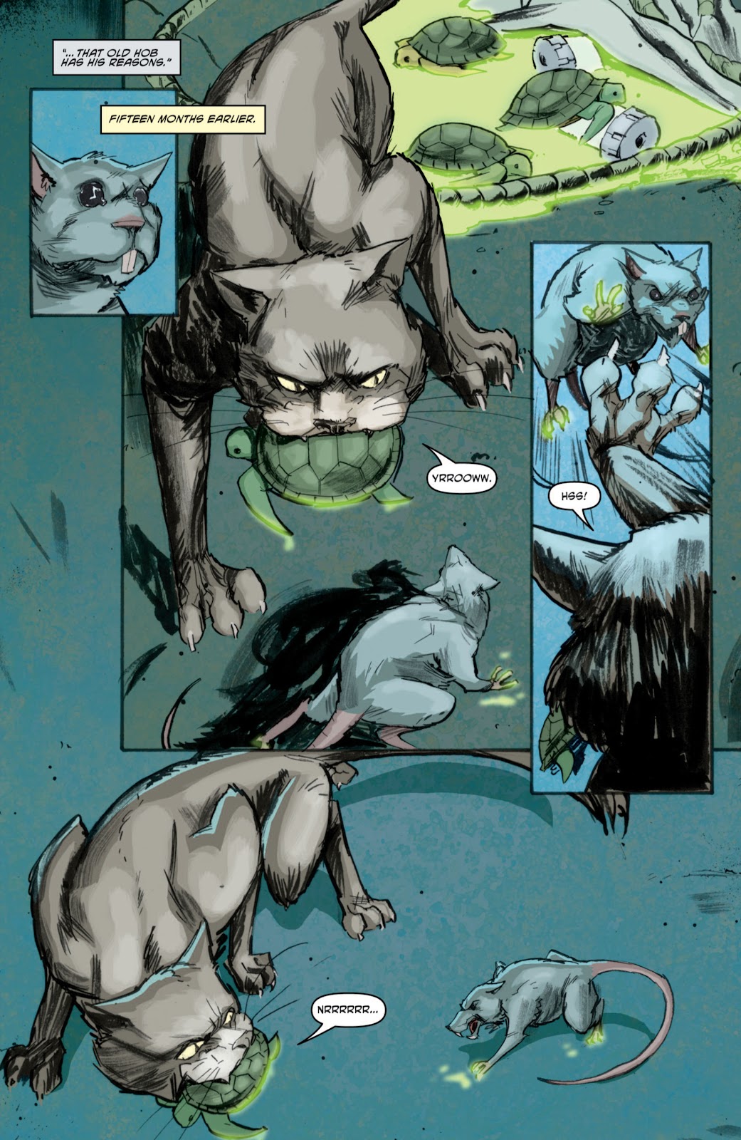 Teenage Mutant Ninja Turtles (2011) issue 3 - Page 16