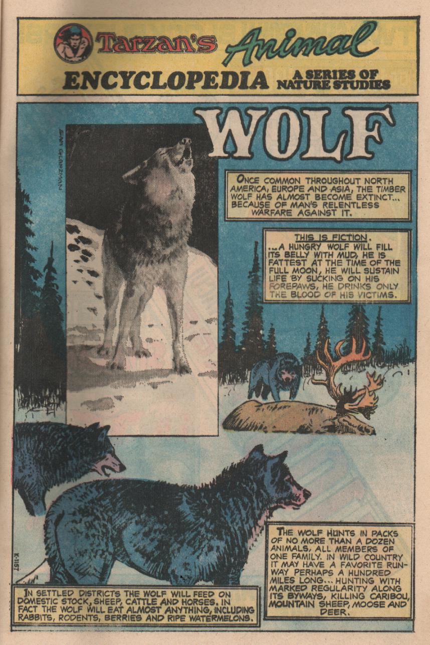 Read online Tarzan (1972) comic -  Issue #226 - 19