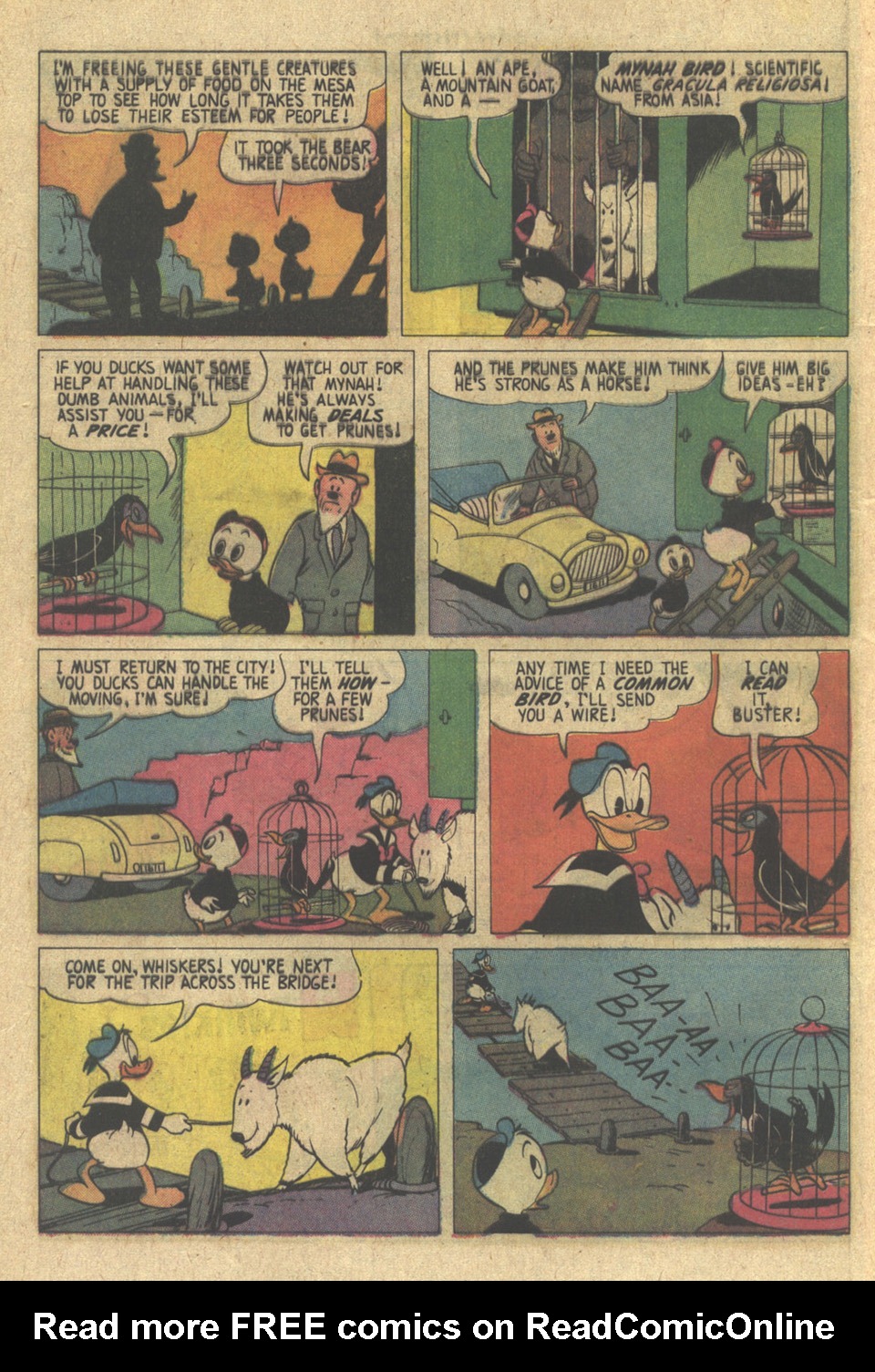 Read online Walt Disney's Comics and Stories comic -  Issue #416 - 7