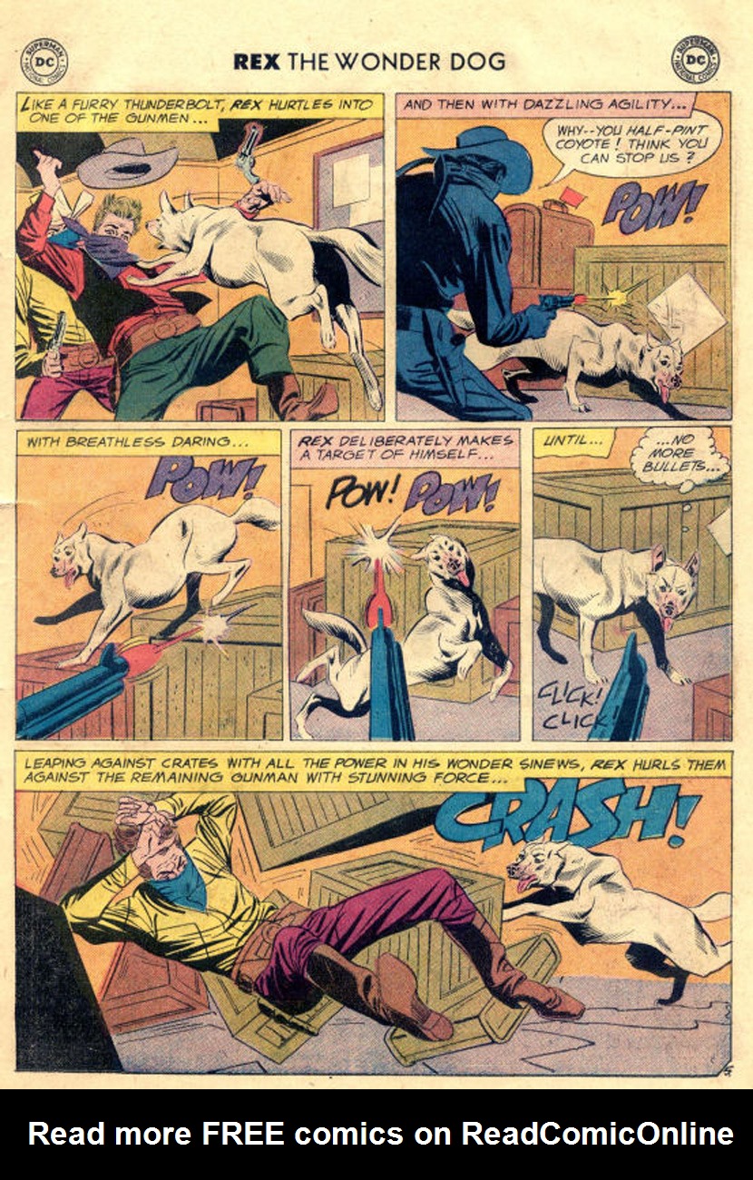 Read online The Adventures of Rex the Wonder Dog comic -  Issue #43 - 7
