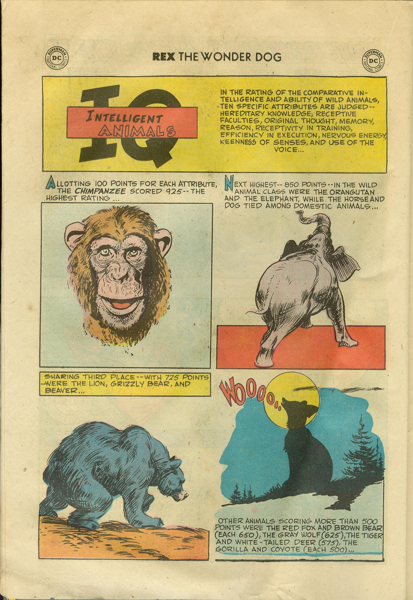 Read online The Adventures of Rex the Wonder Dog comic -  Issue #36 - 22
