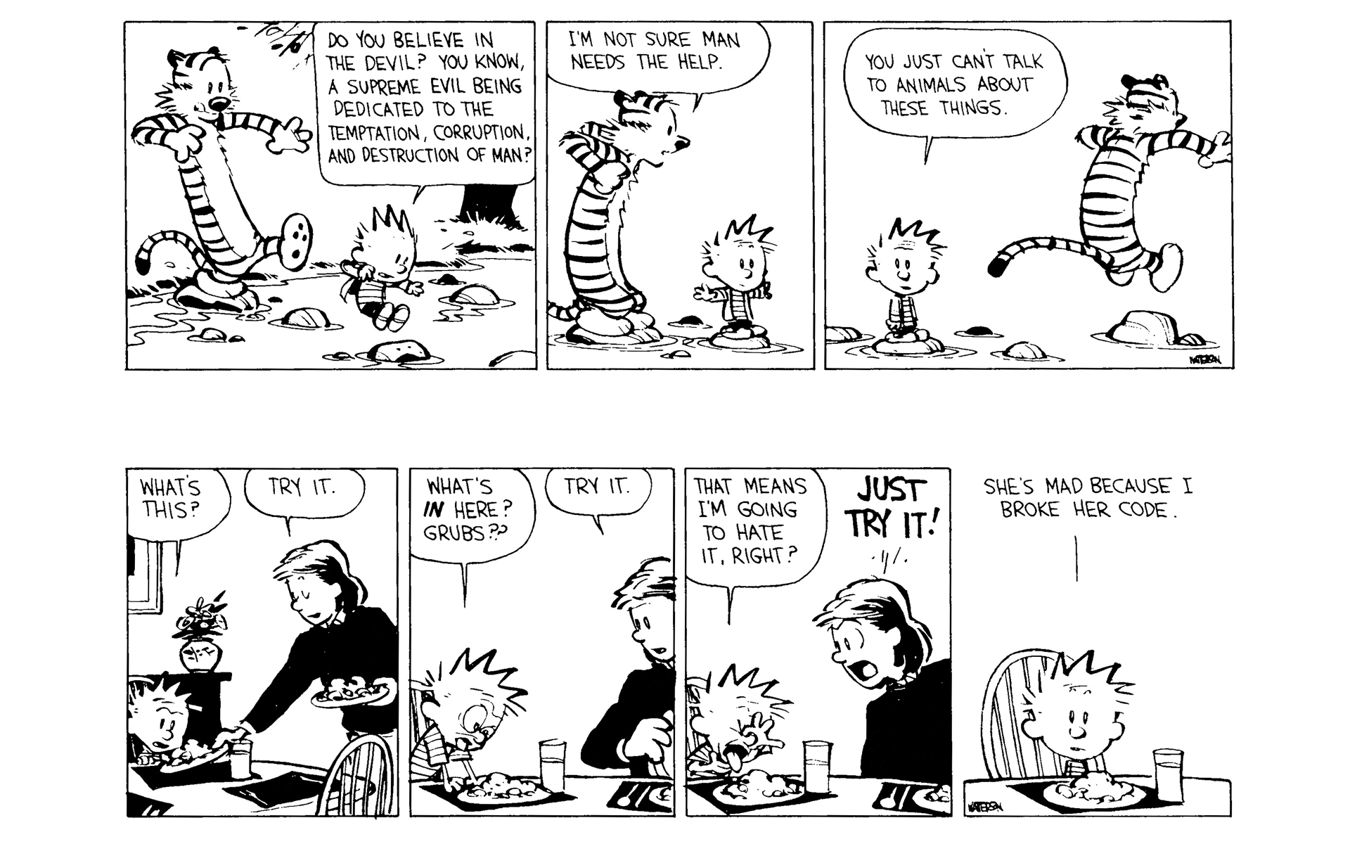 Read online Calvin and Hobbes comic -  Issue #8 - 53
