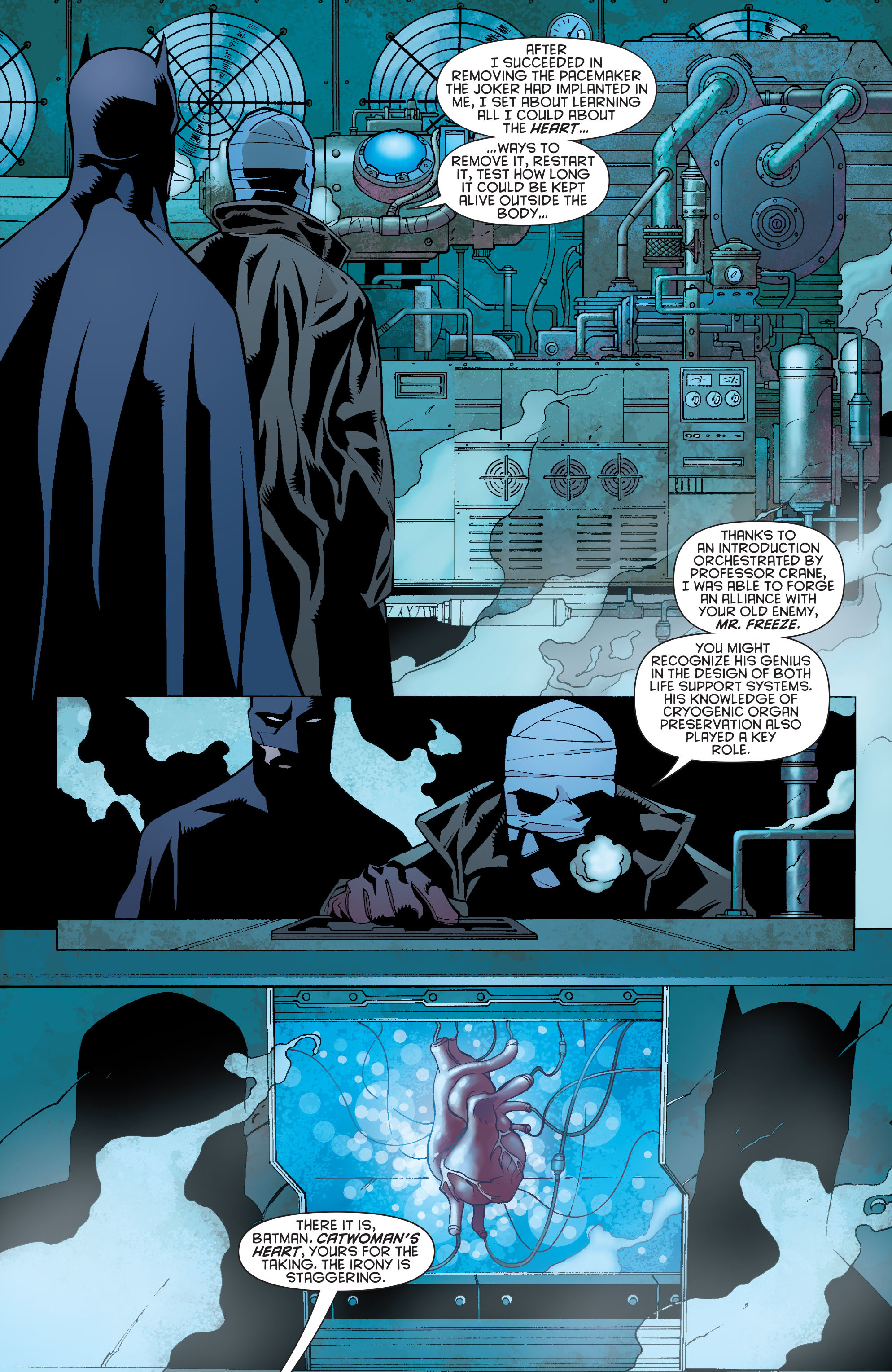 Read online Batman: Heart of Hush comic -  Issue # TPB - 98