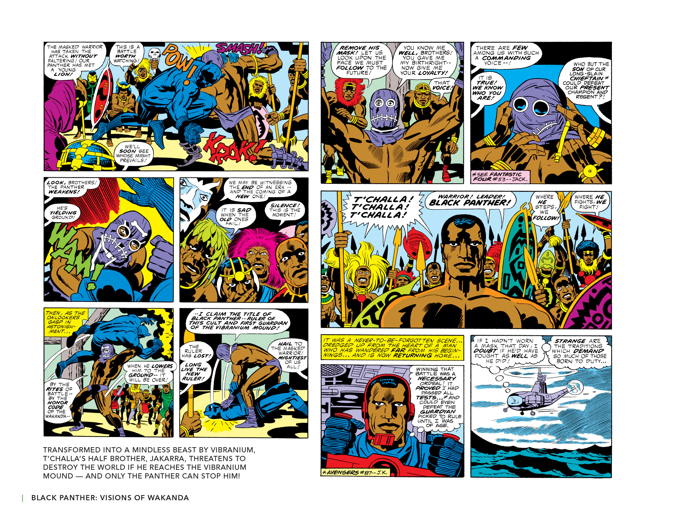 Read online Black Panther: Visions of Wakanda comic -  Issue # TPB (Part 1) - 94