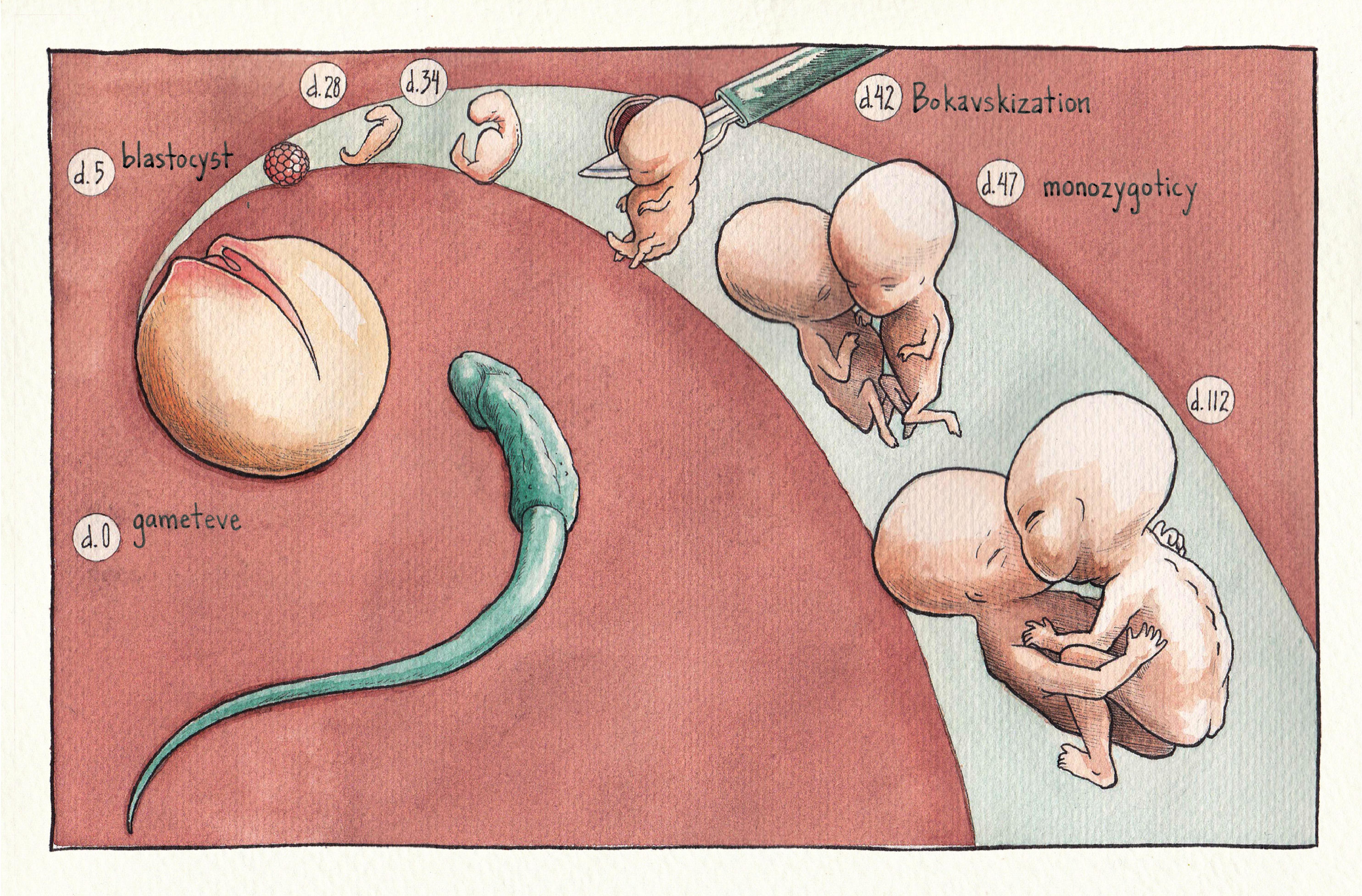 Read online Vivisectionary comic -  Issue # TPB - 68