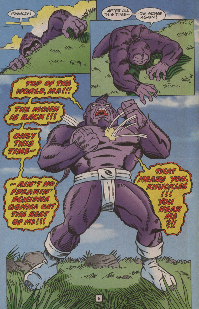 Read online Knuckles the Echidna comic -  Issue #30 - 10