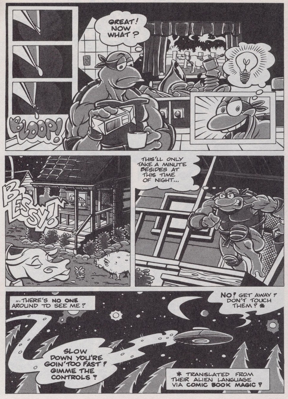 Read online Teenage Mutant Ninja Turtles (1984) comic -  Issue #38 - 11