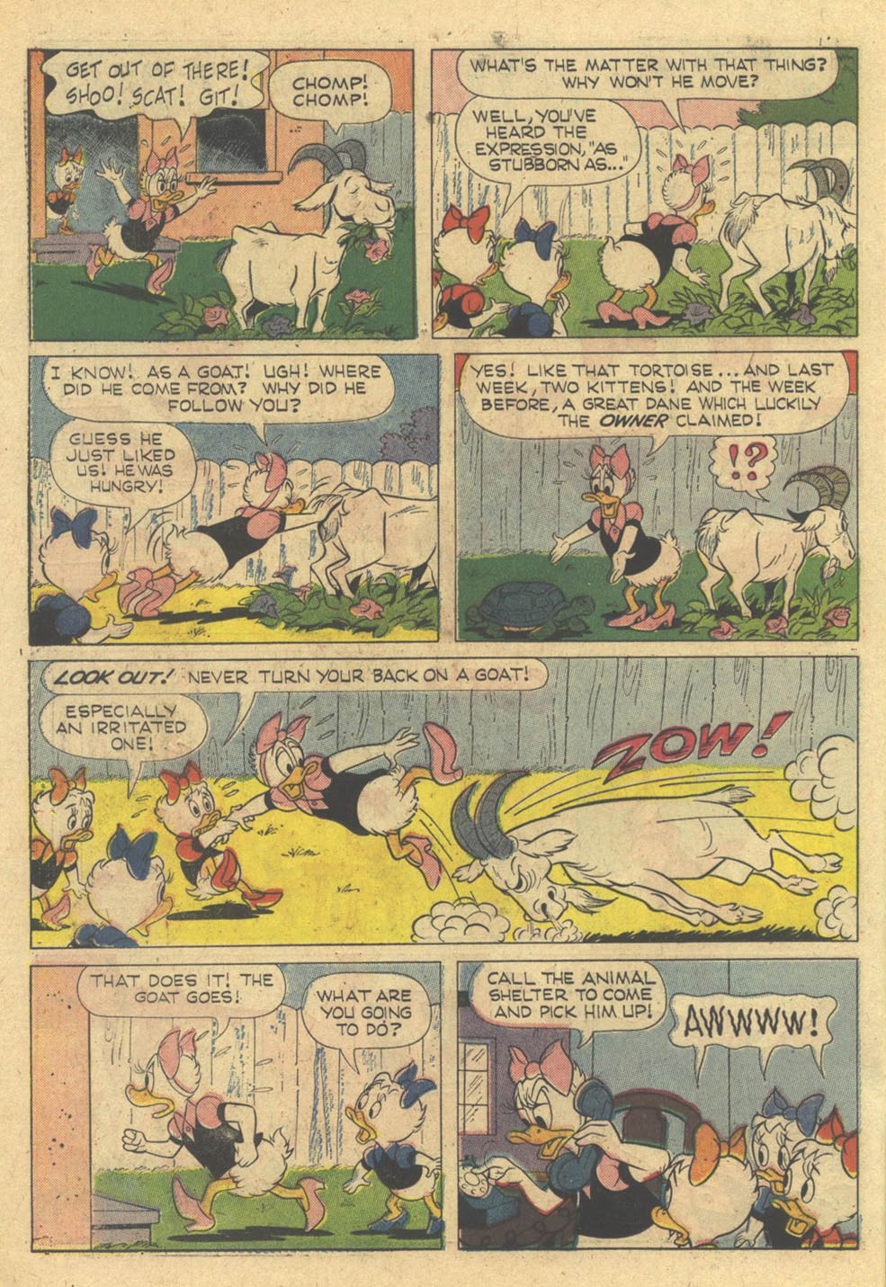 Read online Walt Disney's Comics and Stories comic -  Issue #341 - 22