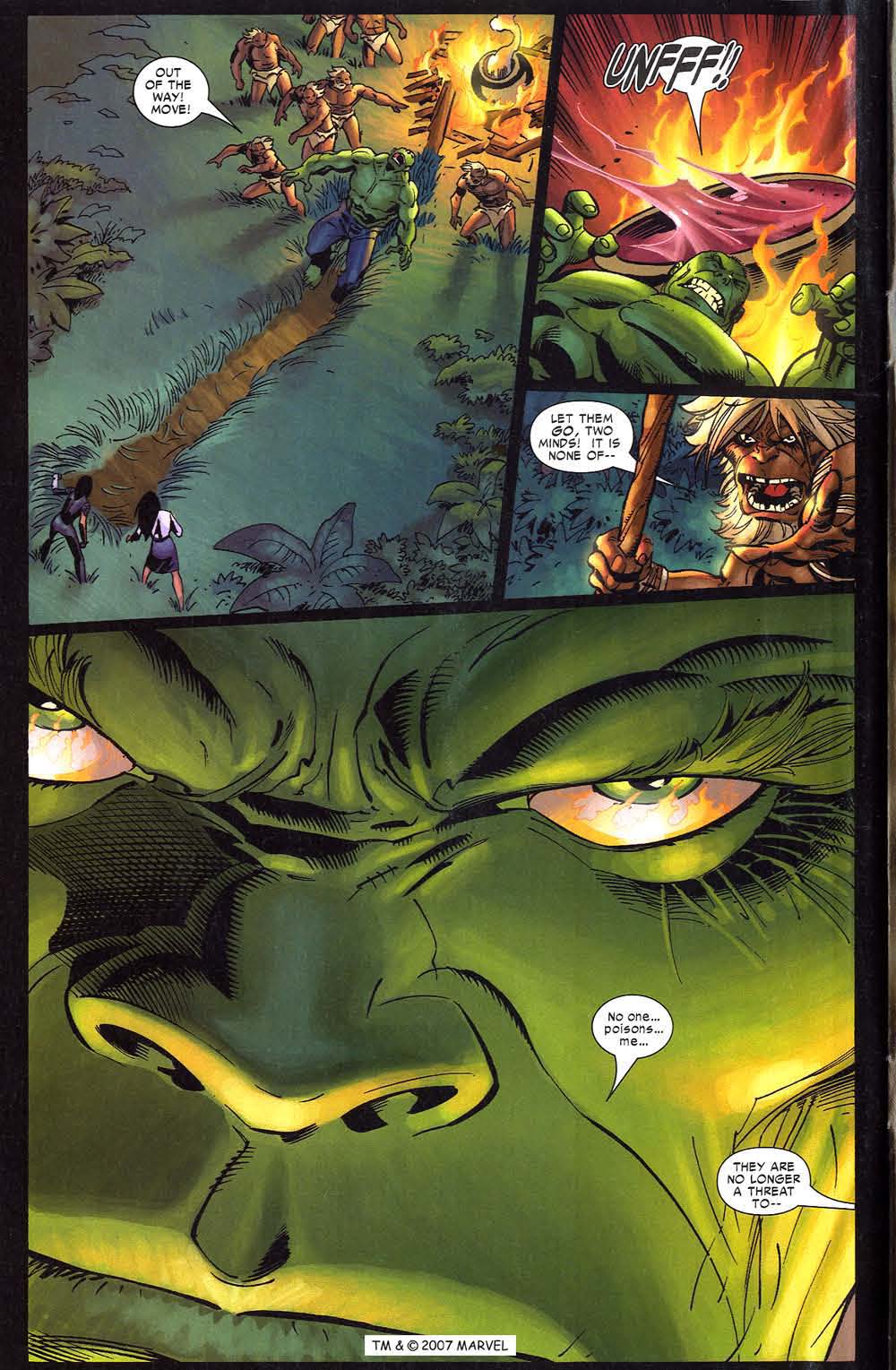 The Incredible Hulk (2000) Issue #87 #76 - English 40