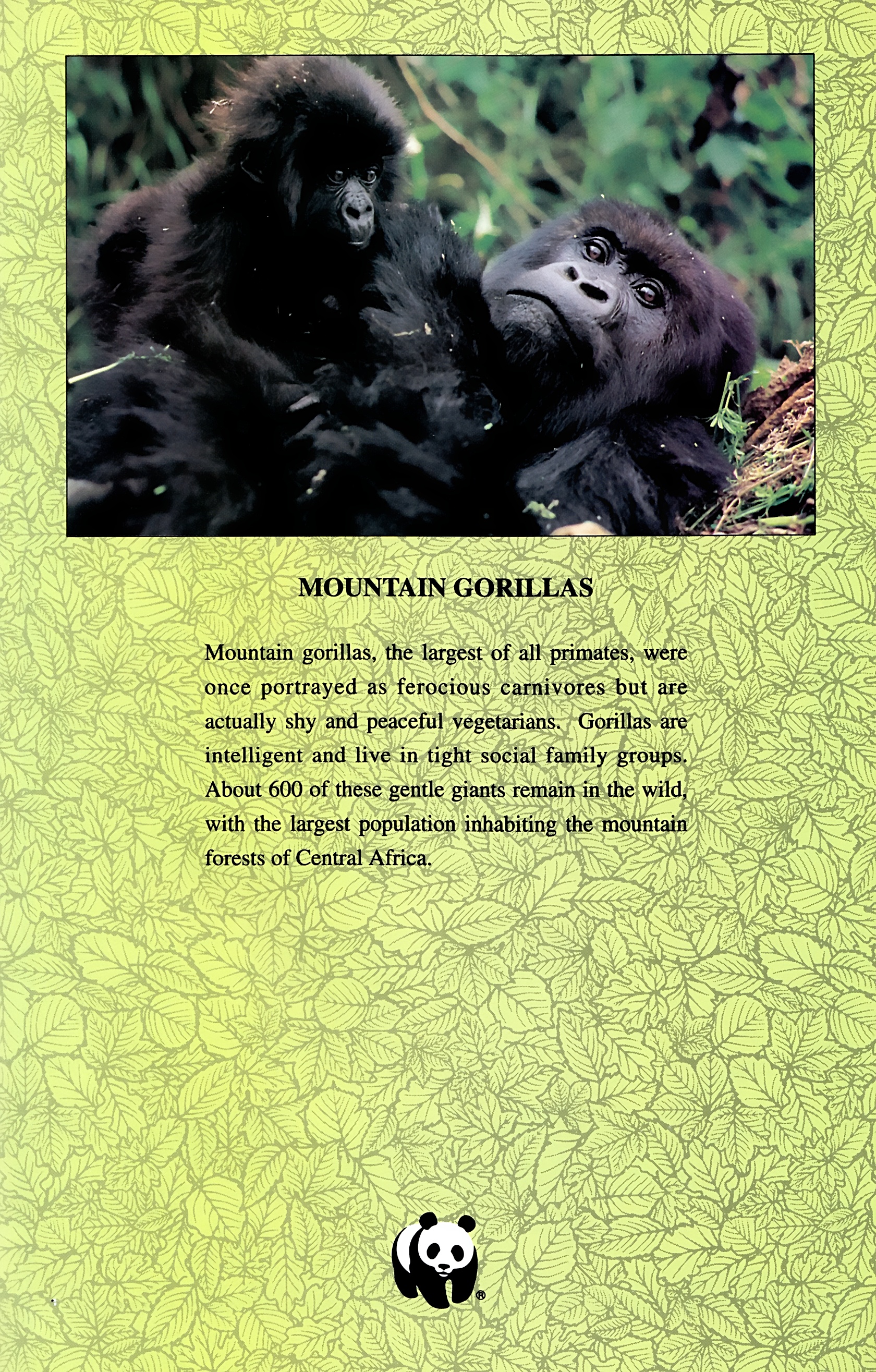 Read online Wolverine: Global Jeopardy comic -  Issue # Full - 19