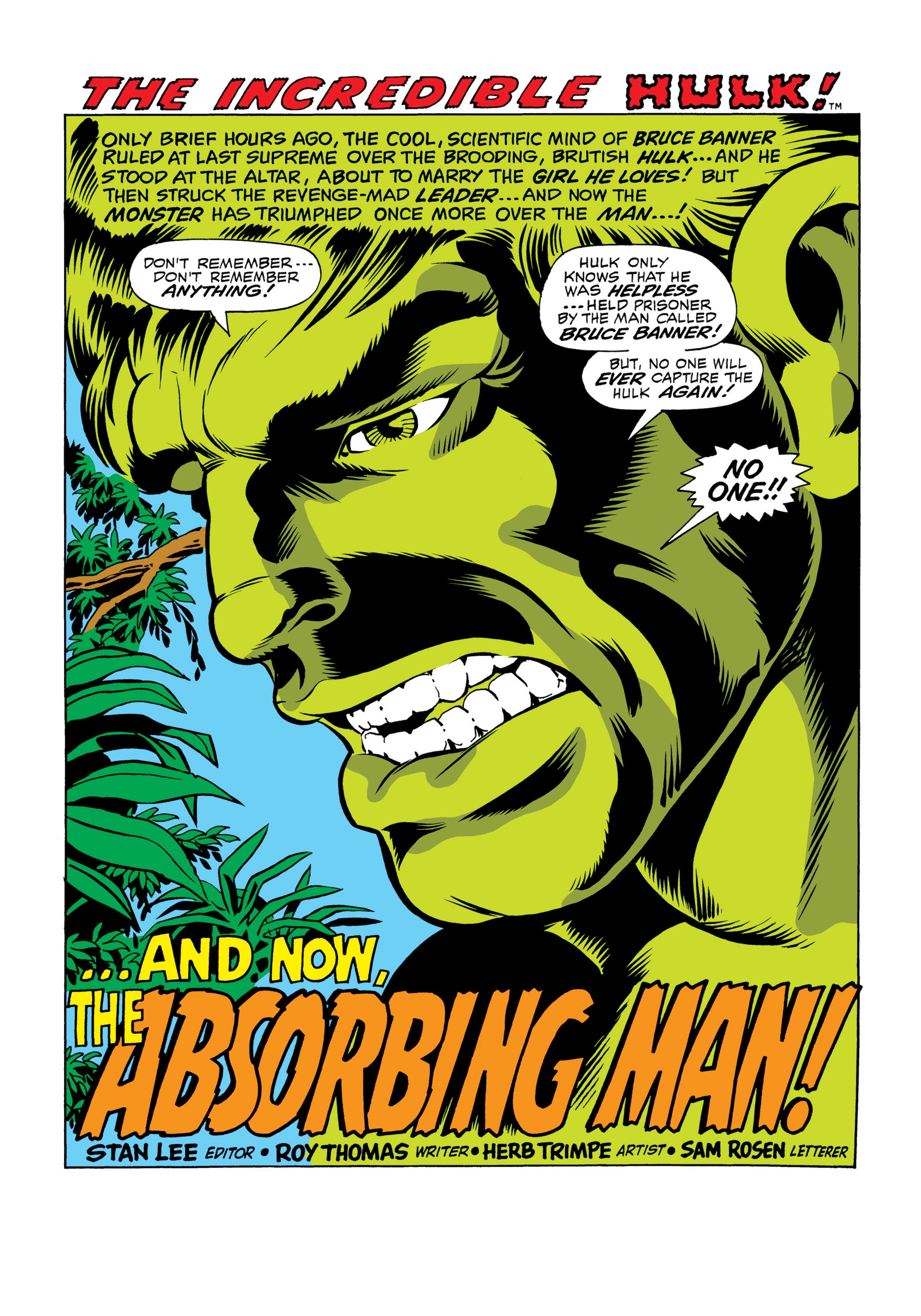 Read online Marvel Masterworks: The Incredible Hulk comic -  Issue # TPB 6 (Part 1) - 73