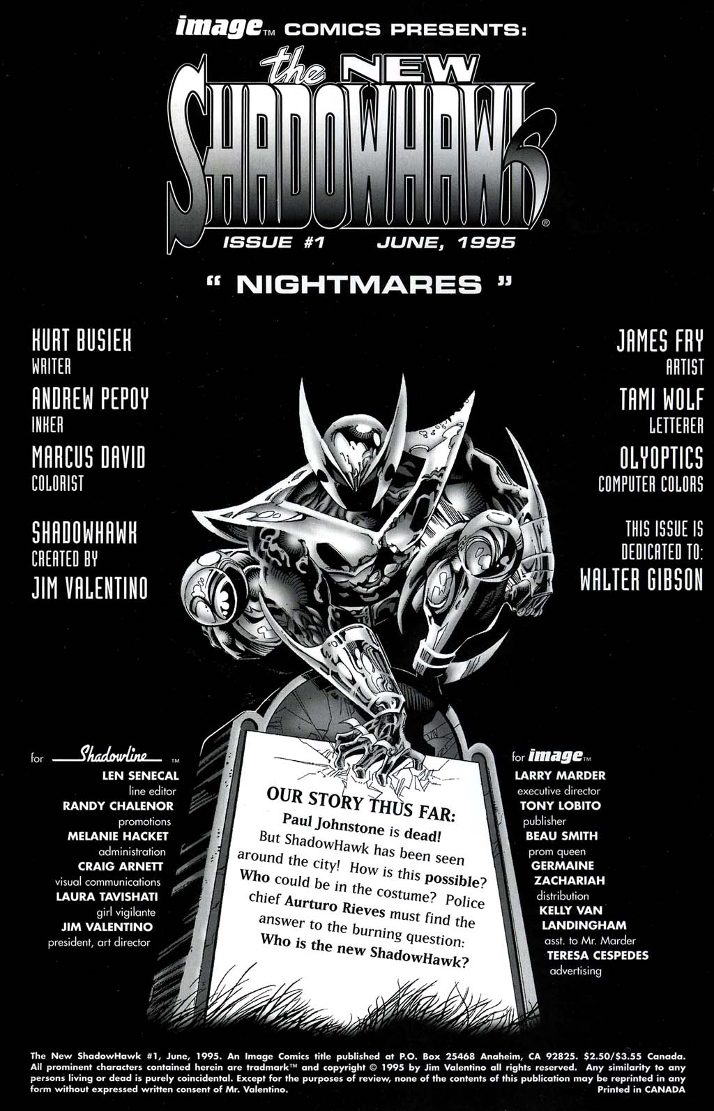 Read online The New Shadowhawk comic -  Issue #1 - 2