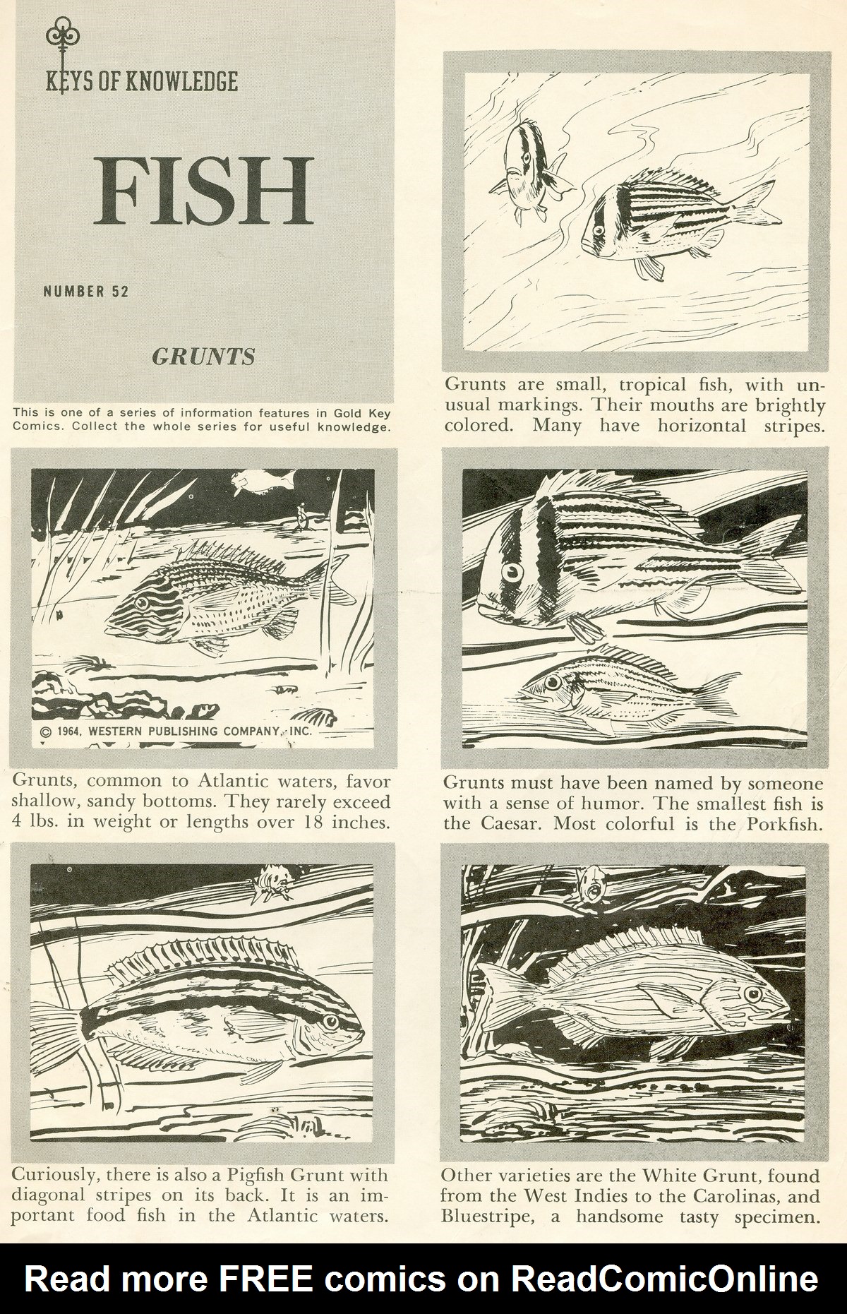 Read online The Phantom (1962) comic -  Issue #9 - 35