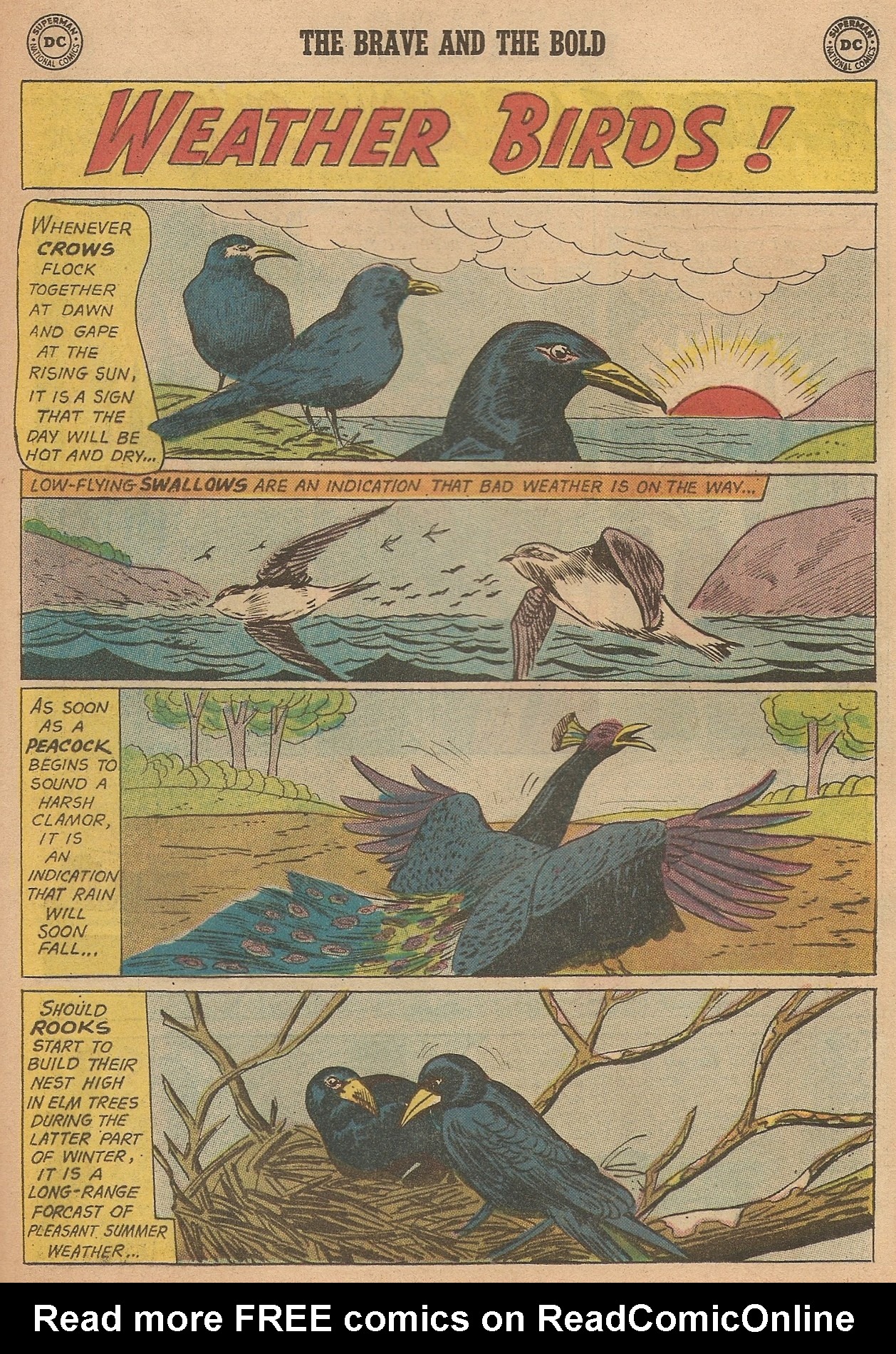 Read online The Brave and the Bold (1955) comic -  Issue #34 - 25