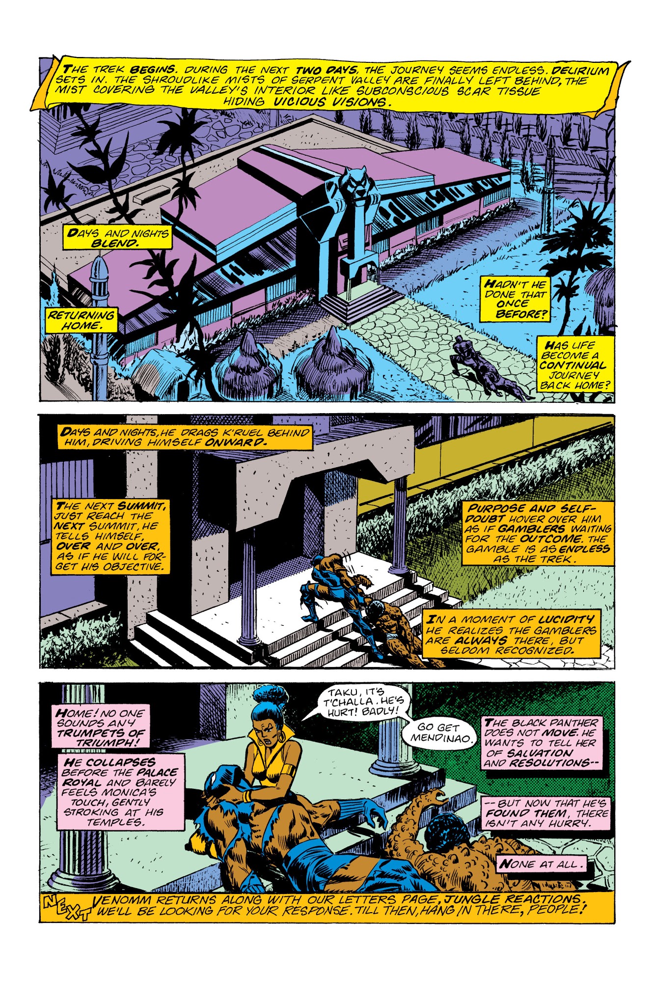 Read online Marvel Masterworks: The Black Panther comic -  Issue # TPB 1 - 172