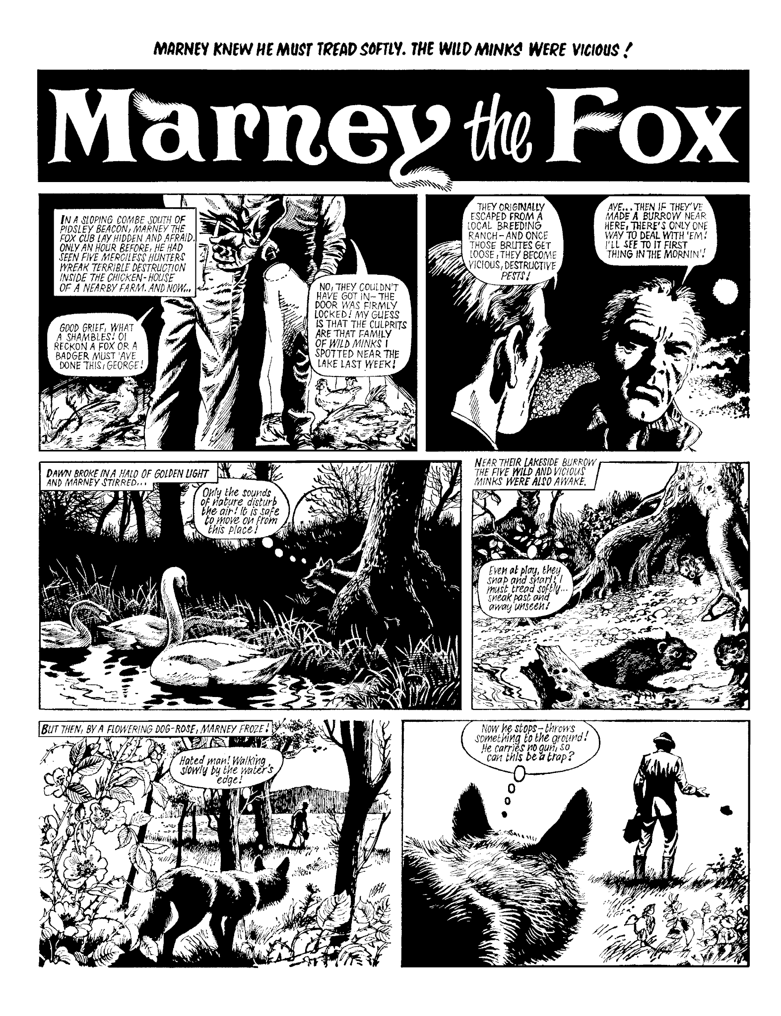 Read online Marney the Fox comic -  Issue # TPB (Part 1) - 93