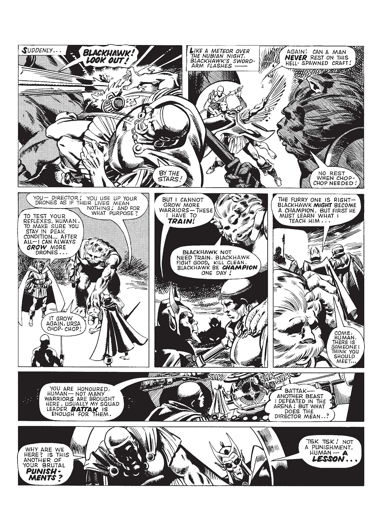 Read online Black Hawk comic -  Issue # TPB (Part 2) - 32