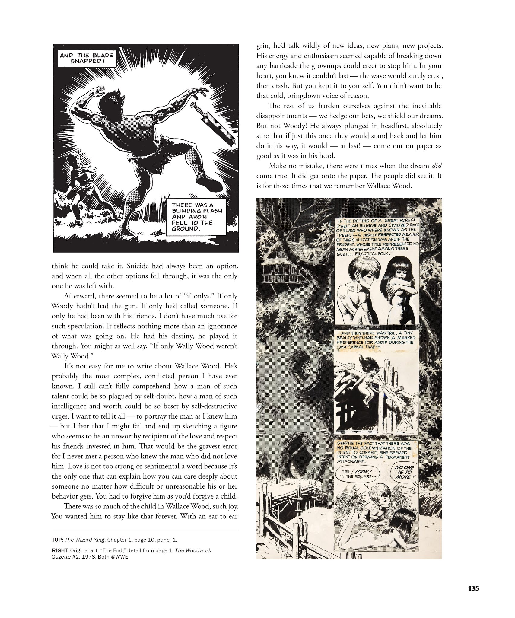 Read online The Life and Legend of Wallace Wood comic -  Issue # TPB 2 - 136