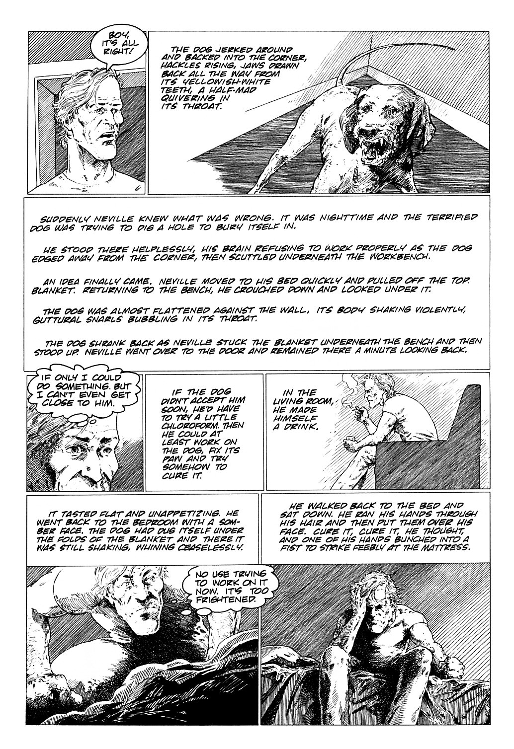Read online Richard Matheson's I Am Legend comic -  Issue # TPB - 151