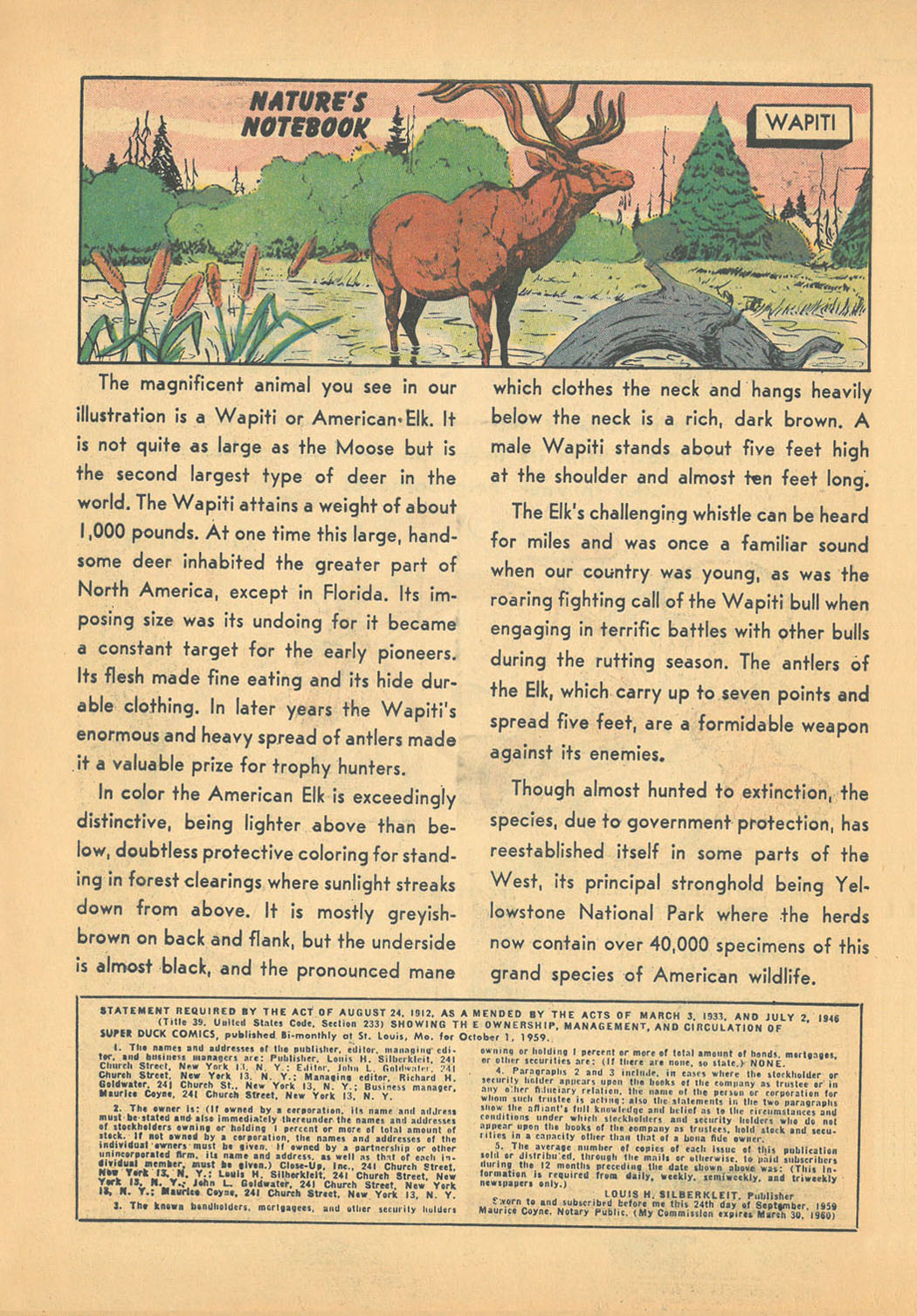 Read online Super Duck Comics comic -  Issue #91 - 10