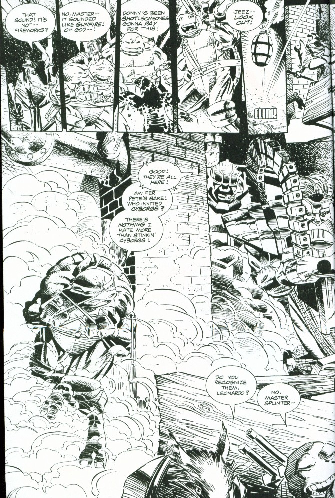 Teenage Mutant Ninja Turtles (1996) Issue #1 #1 - English 3