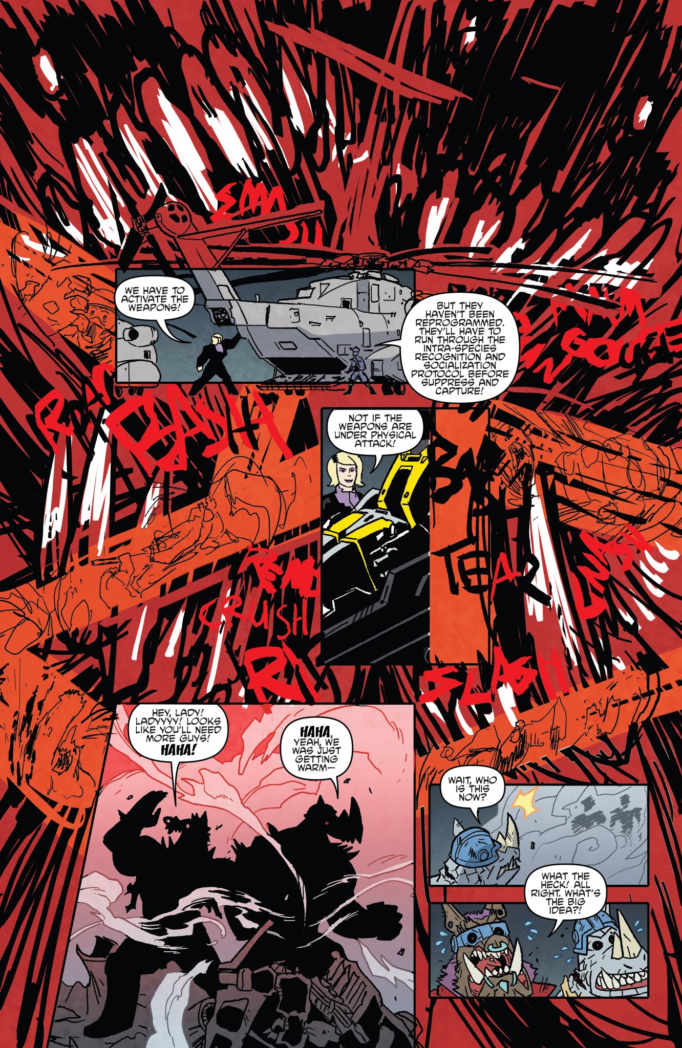 Read online Teenage Mutant Ninja Turtles: Bebop & Rocksteady Hit the Road comic -  Issue #5 - 9