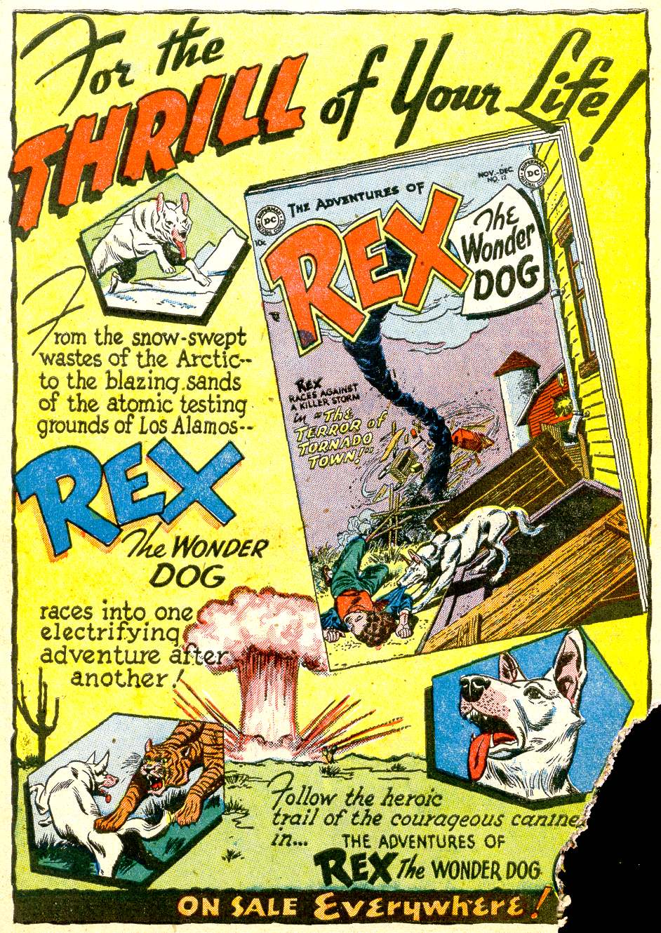 Read online Adventure Comics (1938) comic -  Issue #194 - 33