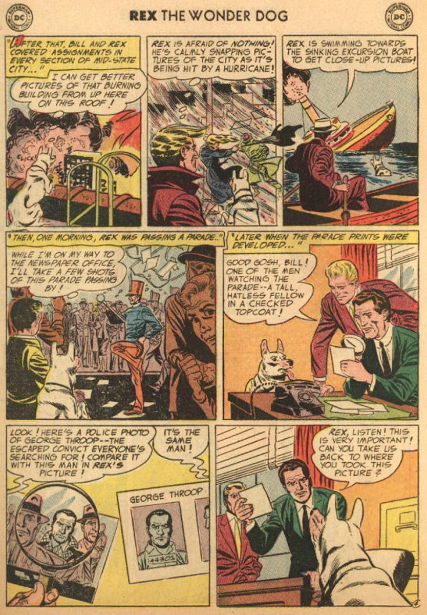 Read online The Adventures of Rex the Wonder Dog comic -  Issue #21 - 28