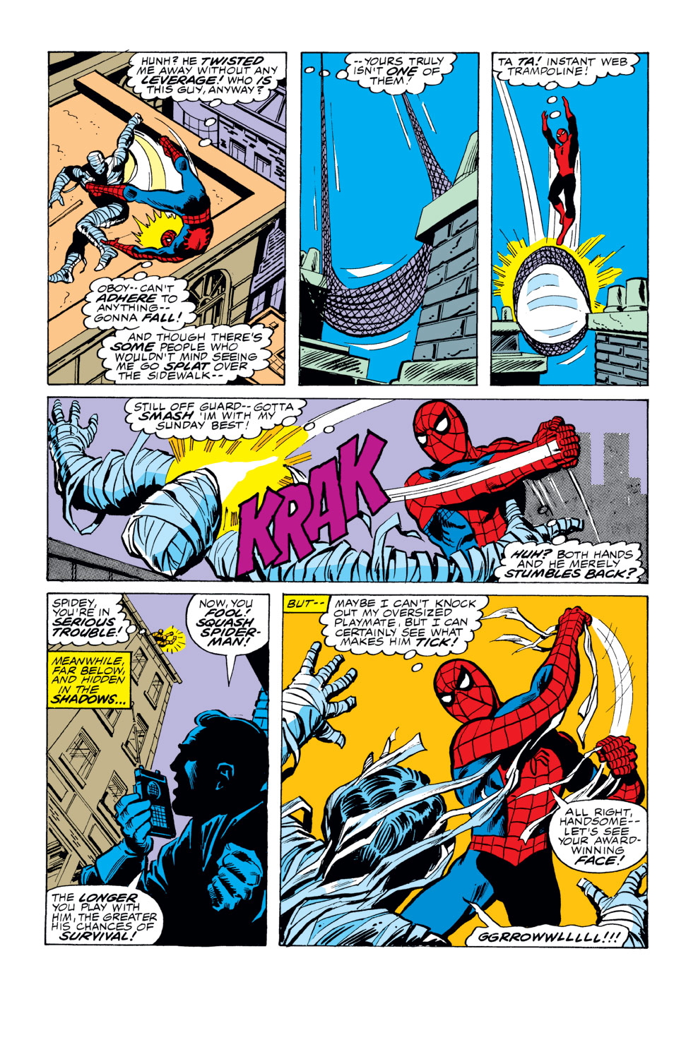 The Amazing Spider-Man (1963) issue 189 - Page 17