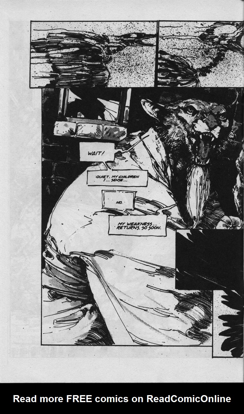 Teenage Mutant Ninja Turtles (1984) Issue #36 #36 - English 3