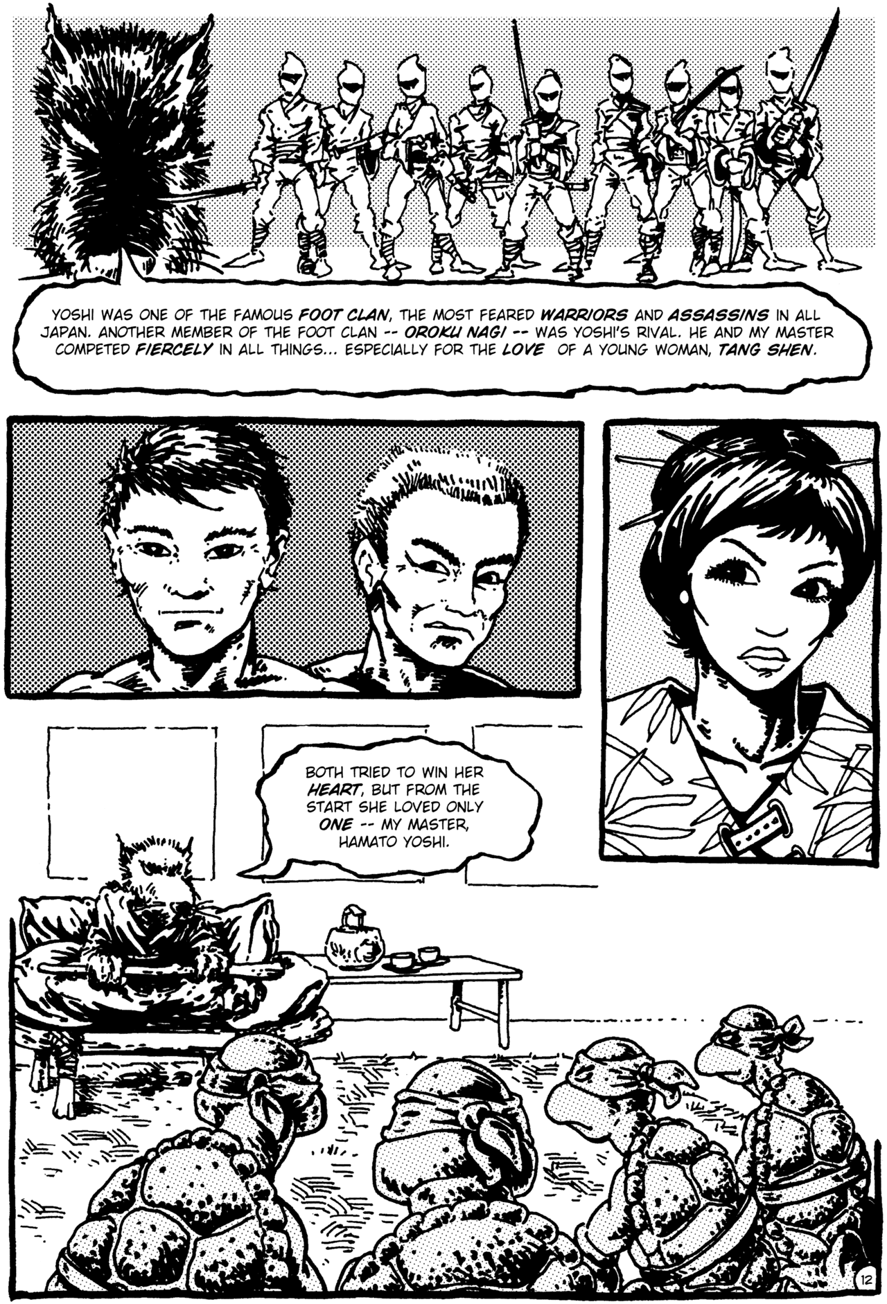Read online Teenage Mutant Ninja Turtles (1984) comic -  Issue #1 - 13