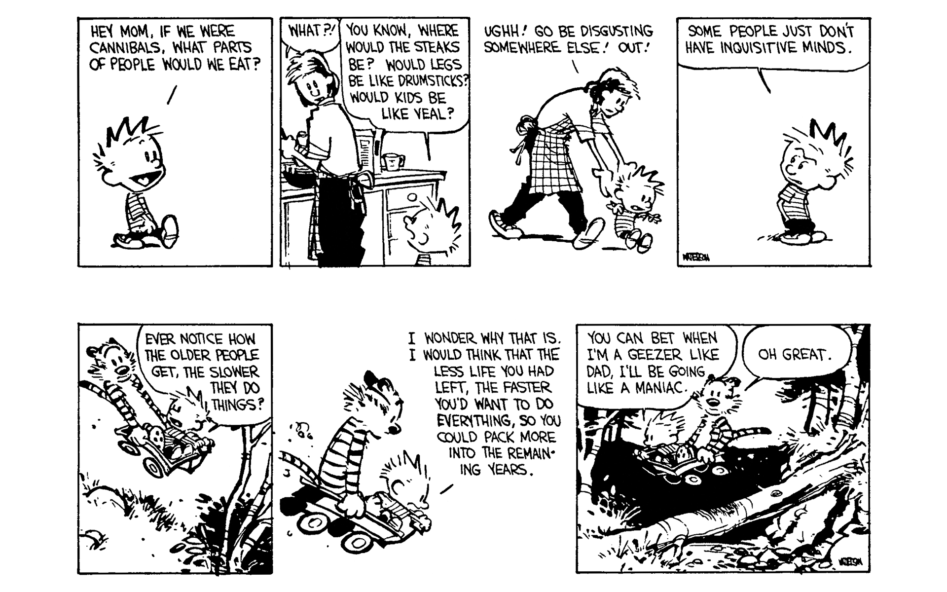 Read online Calvin and Hobbes comic -  Issue #7 - 13