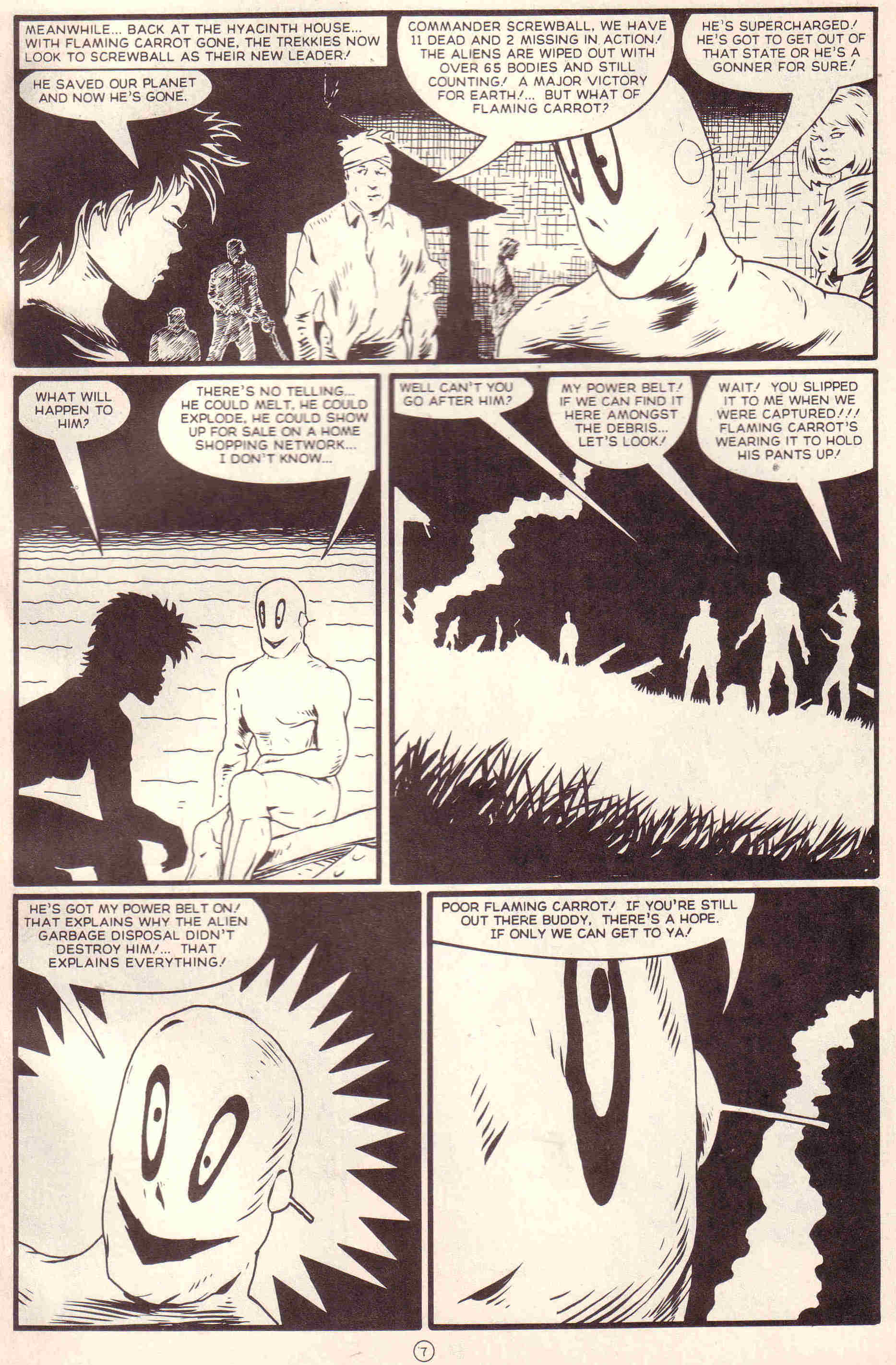 Read online Flaming Carrot Comics (1988) comic -  Issue #24 - 27