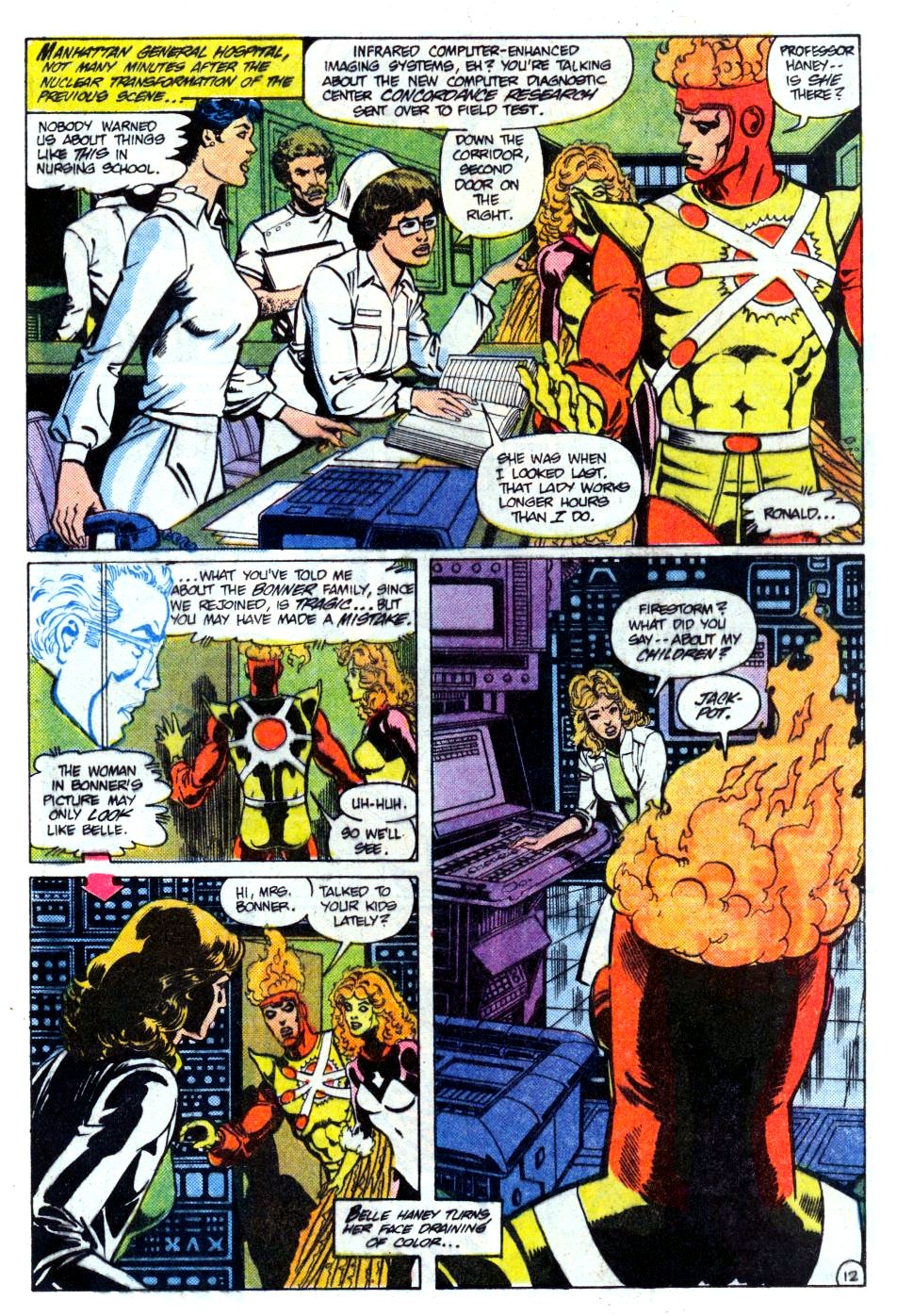 The Fury of Firestorm Issue #24 #28 - English 13