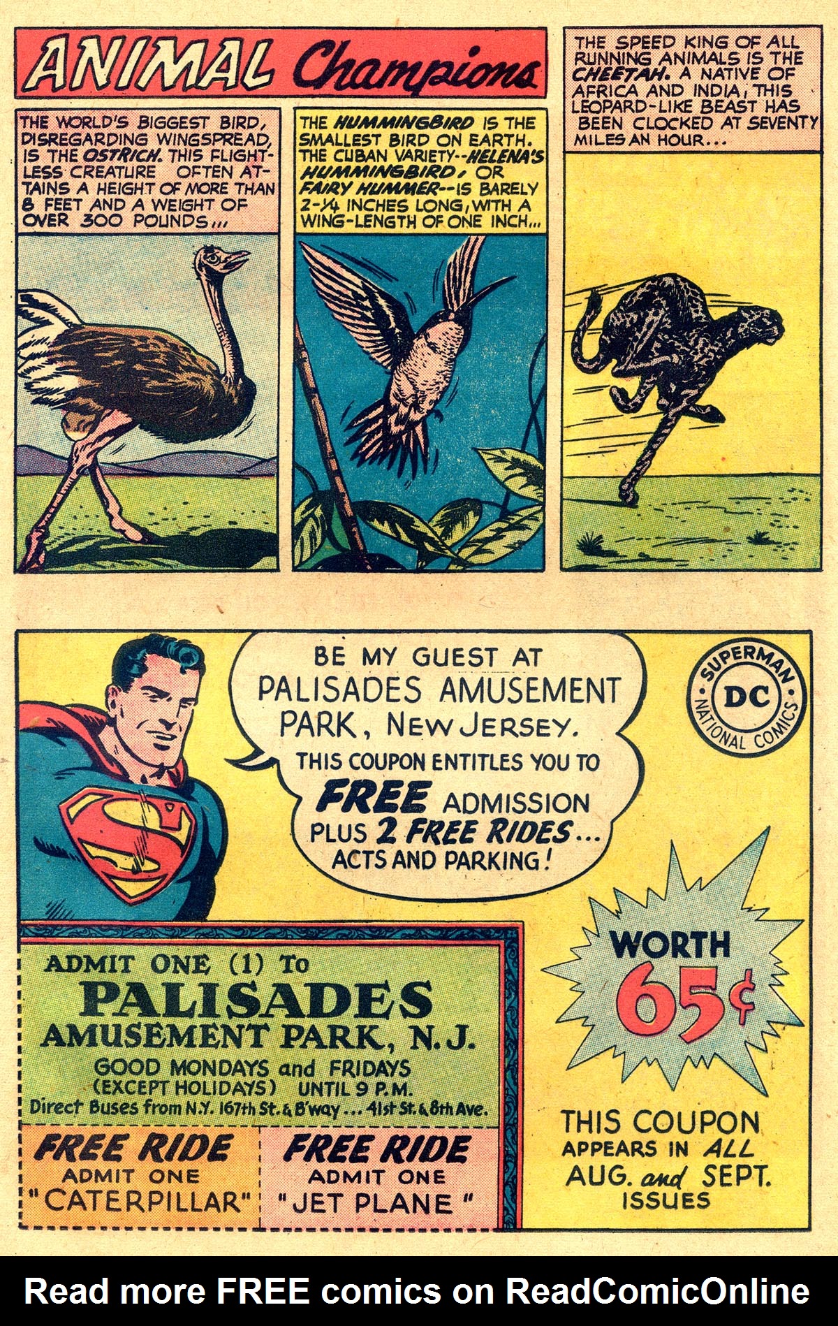 Read online Peter Panda comic -  Issue #31 - 20