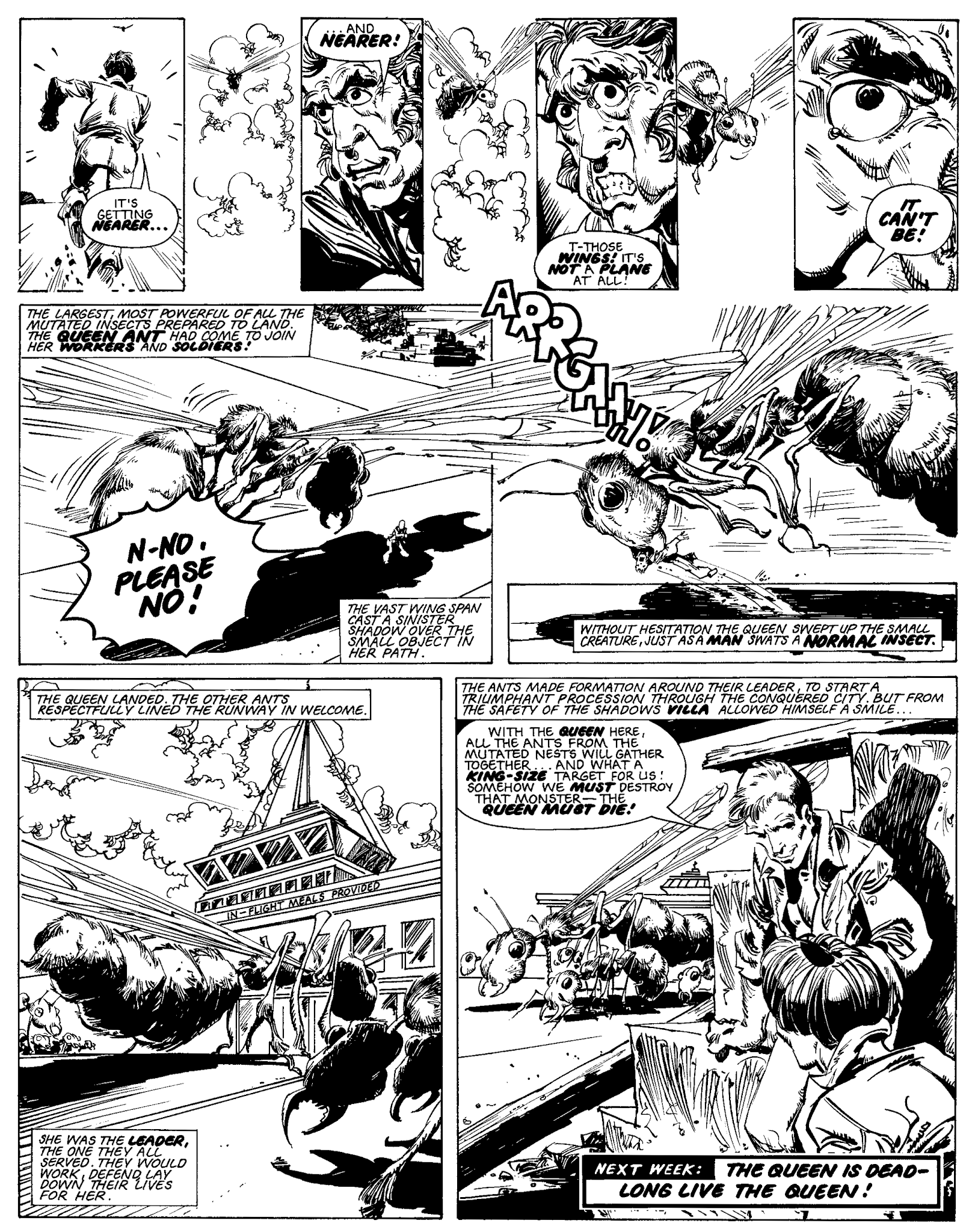 Read online Ant Wars comic -  Issue # TPB - 49