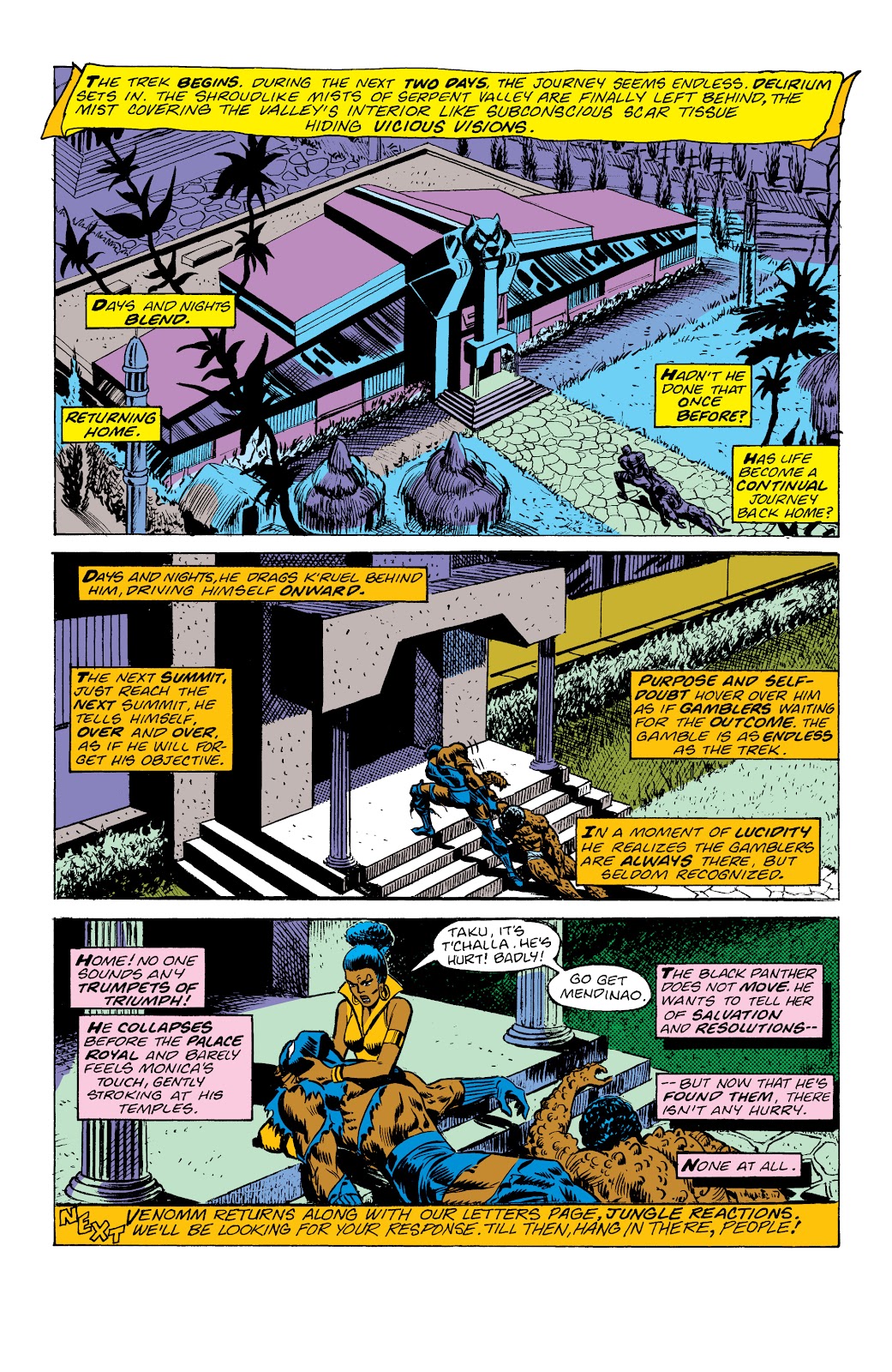 Black Panther: The Early Years Omnibus issue TPB (Part 7) - Page 45