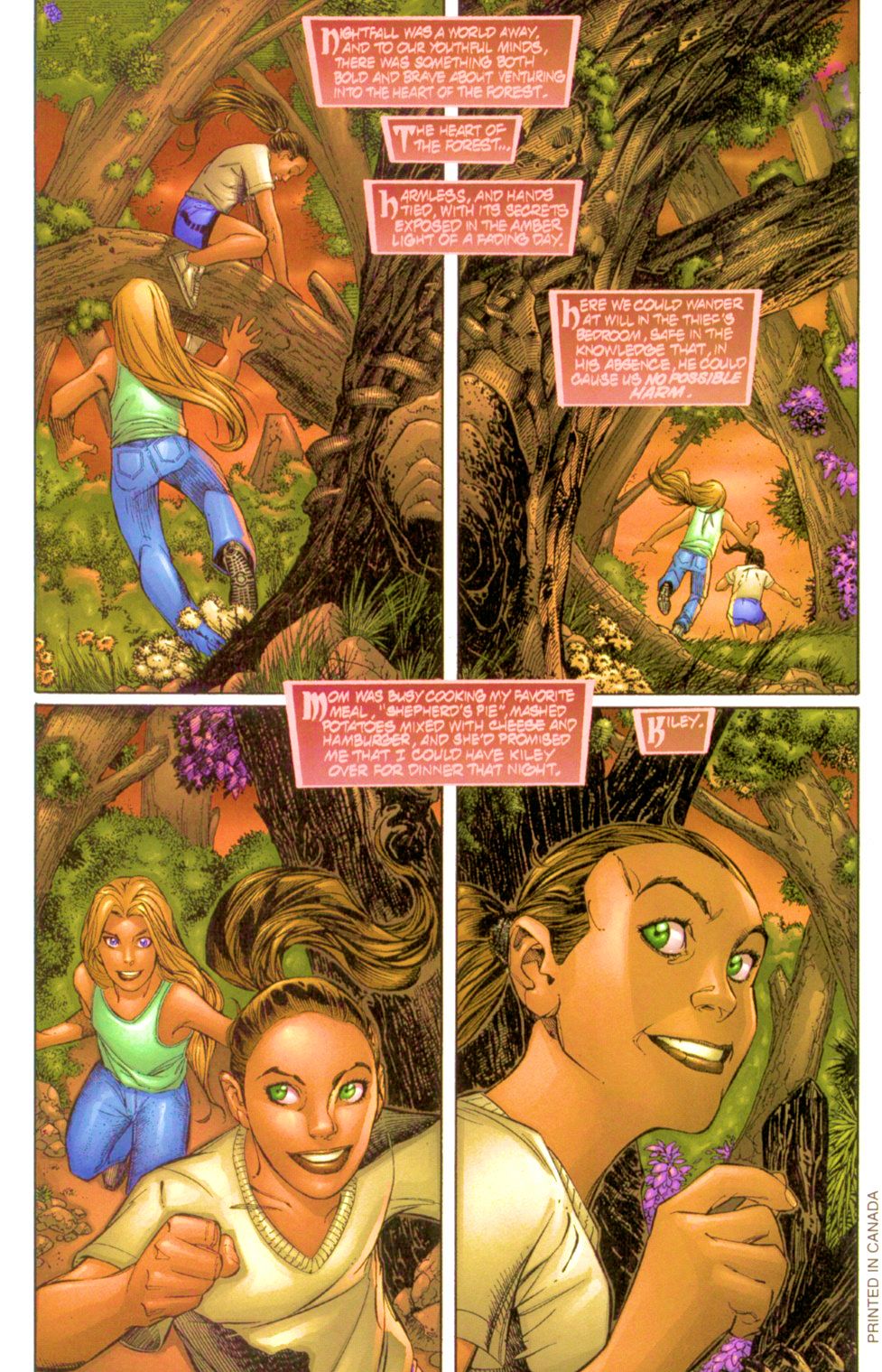 Read online Dreams of the Darkchylde comic -  Issue #1 - 4