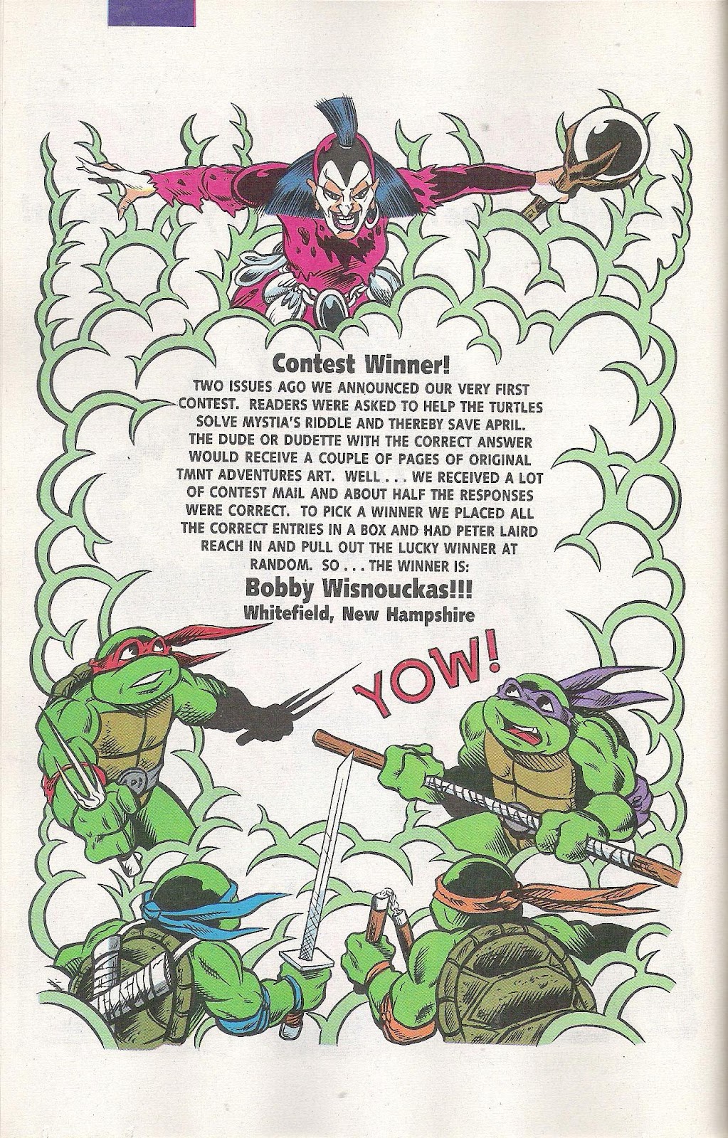 Teenage Mutant Ninja Turtles Adventures (1989) issue Special 7 - Page 20