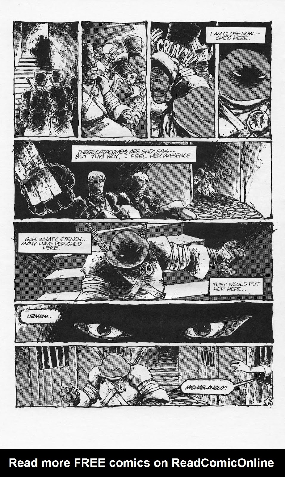Teenage Mutant Ninja Turtles (1984) Issue #17 #17 - English 18