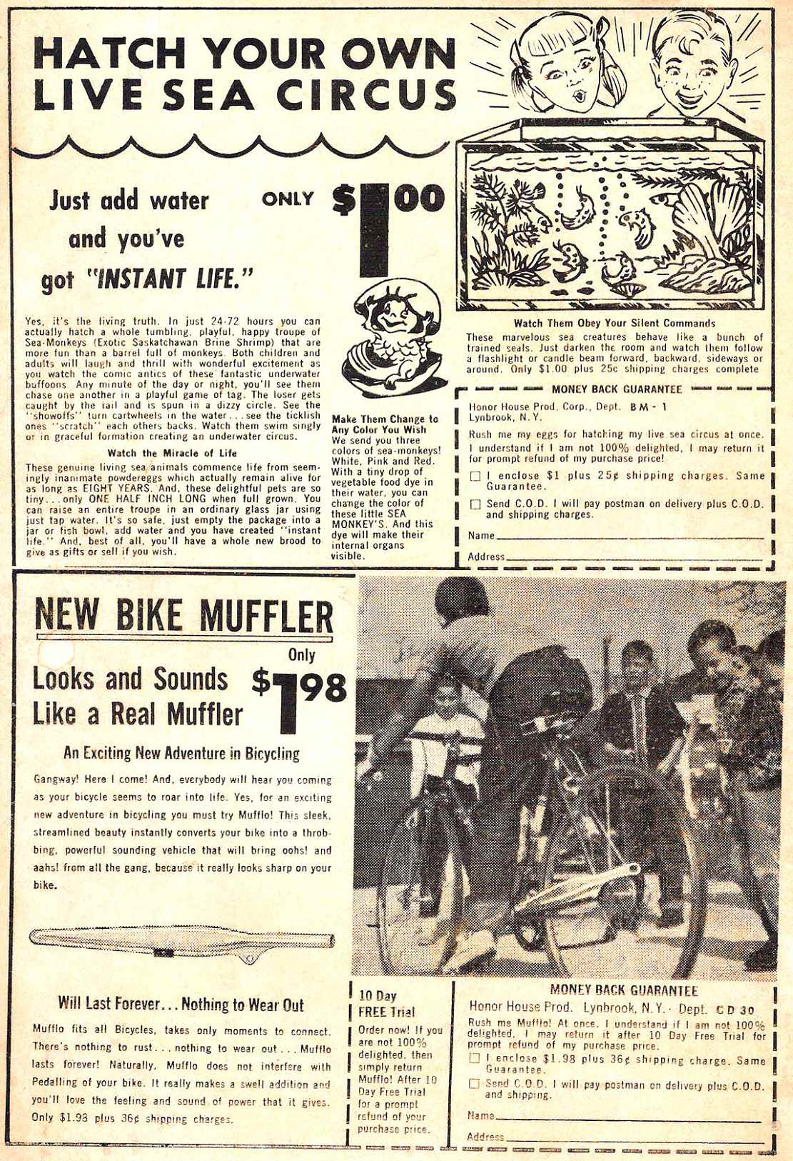 Read online Archie's Pal Jughead comic -  Issue #98 - 2