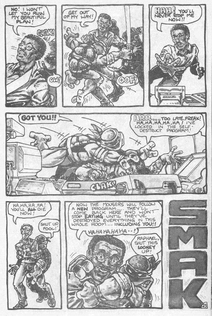 Read online Teenage Mutant Ninja Turtles (1984) comic -  Issue #2 - 27