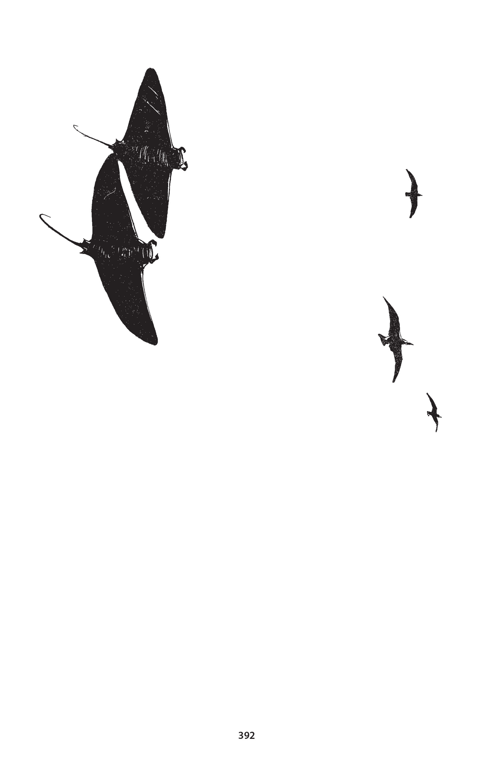 Read online The Puma Blues comic -  Issue # TPB (Part2) - 124