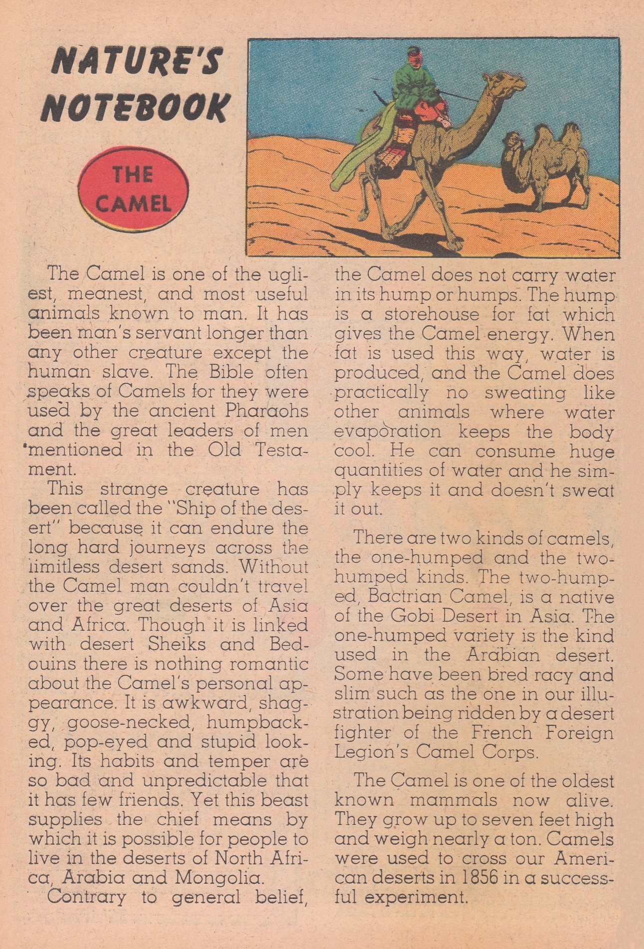 Read online Archie's Pals 'N' Gals (1952) comic -  Issue #11 - 40