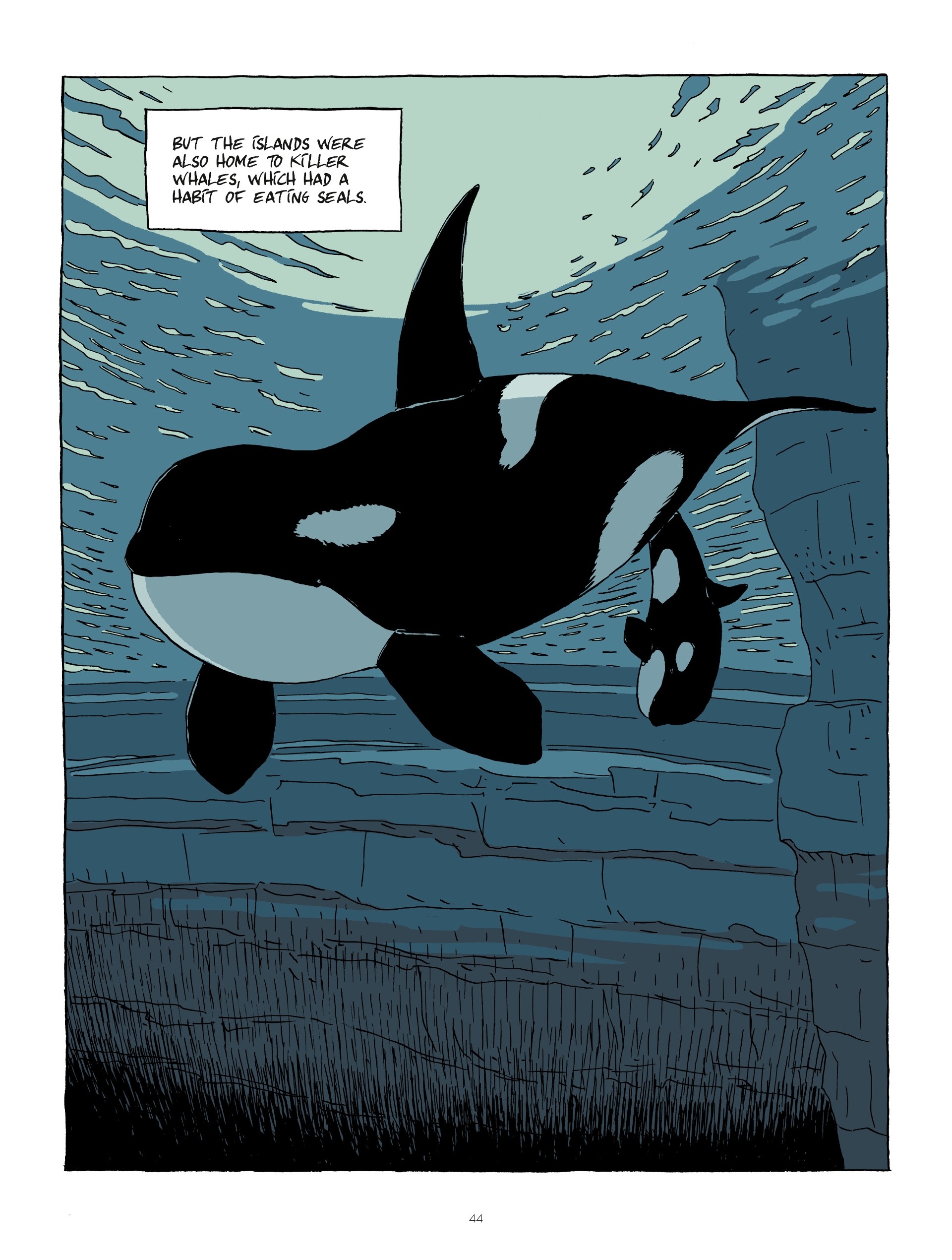 Read online Hubert Reeves Explains comic -  Issue #1 - 44