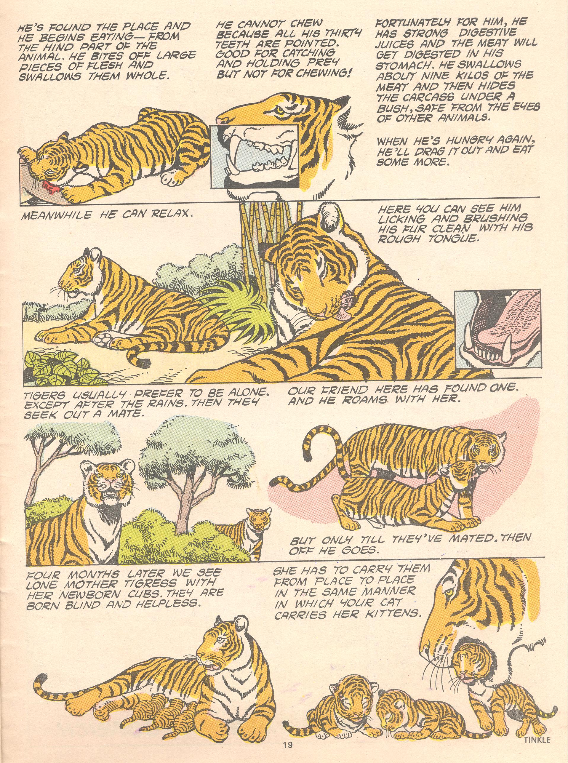 Read online Tinkle comic -  Issue #14 - 21